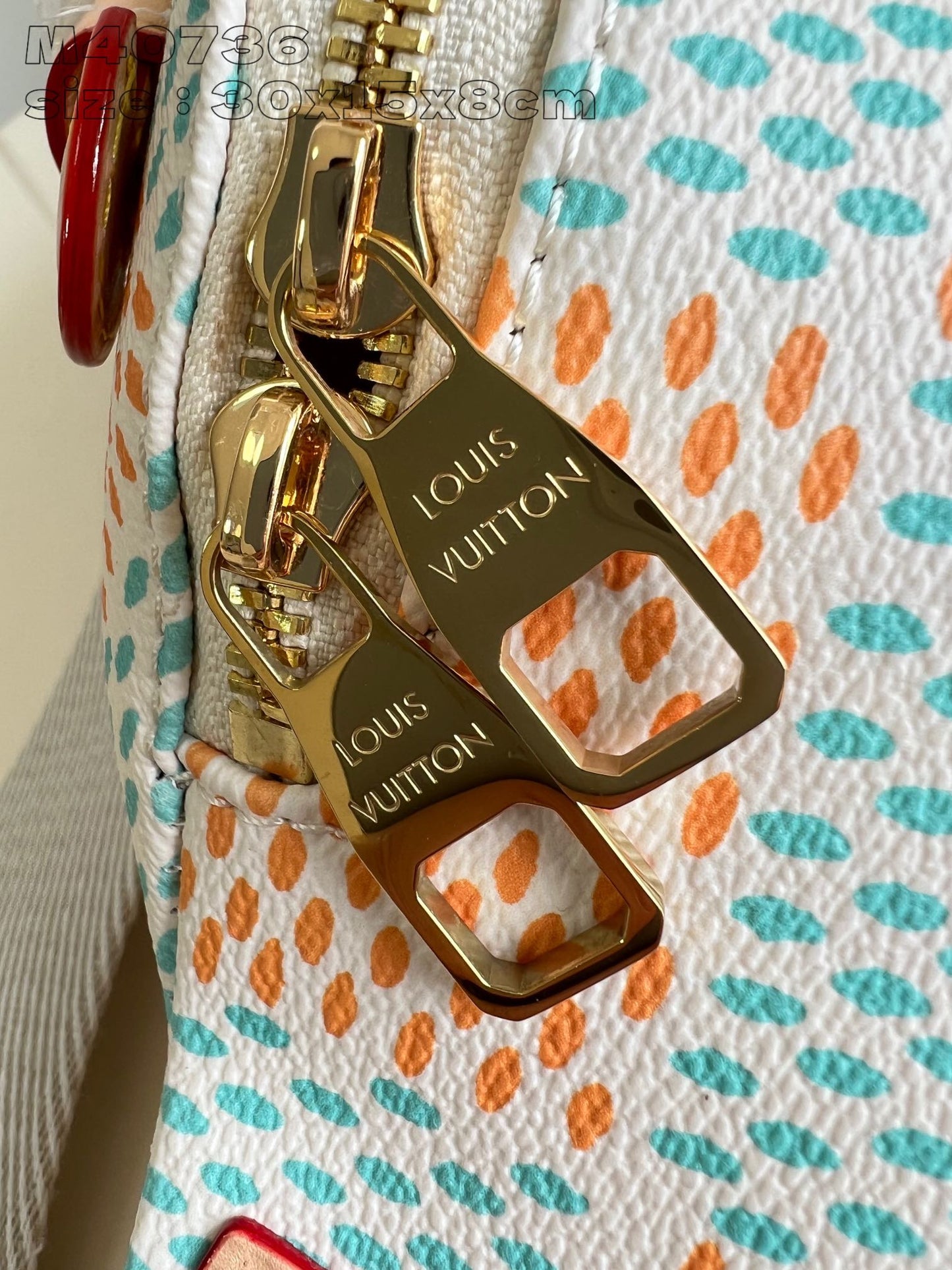 Louis Vuitton Handbag