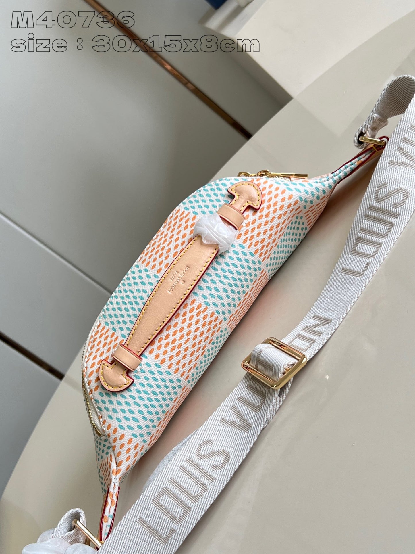 Louis Vuitton Handbag