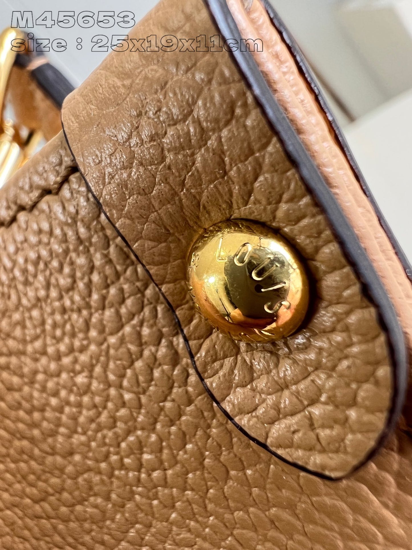 Louis Vuitton Handbag