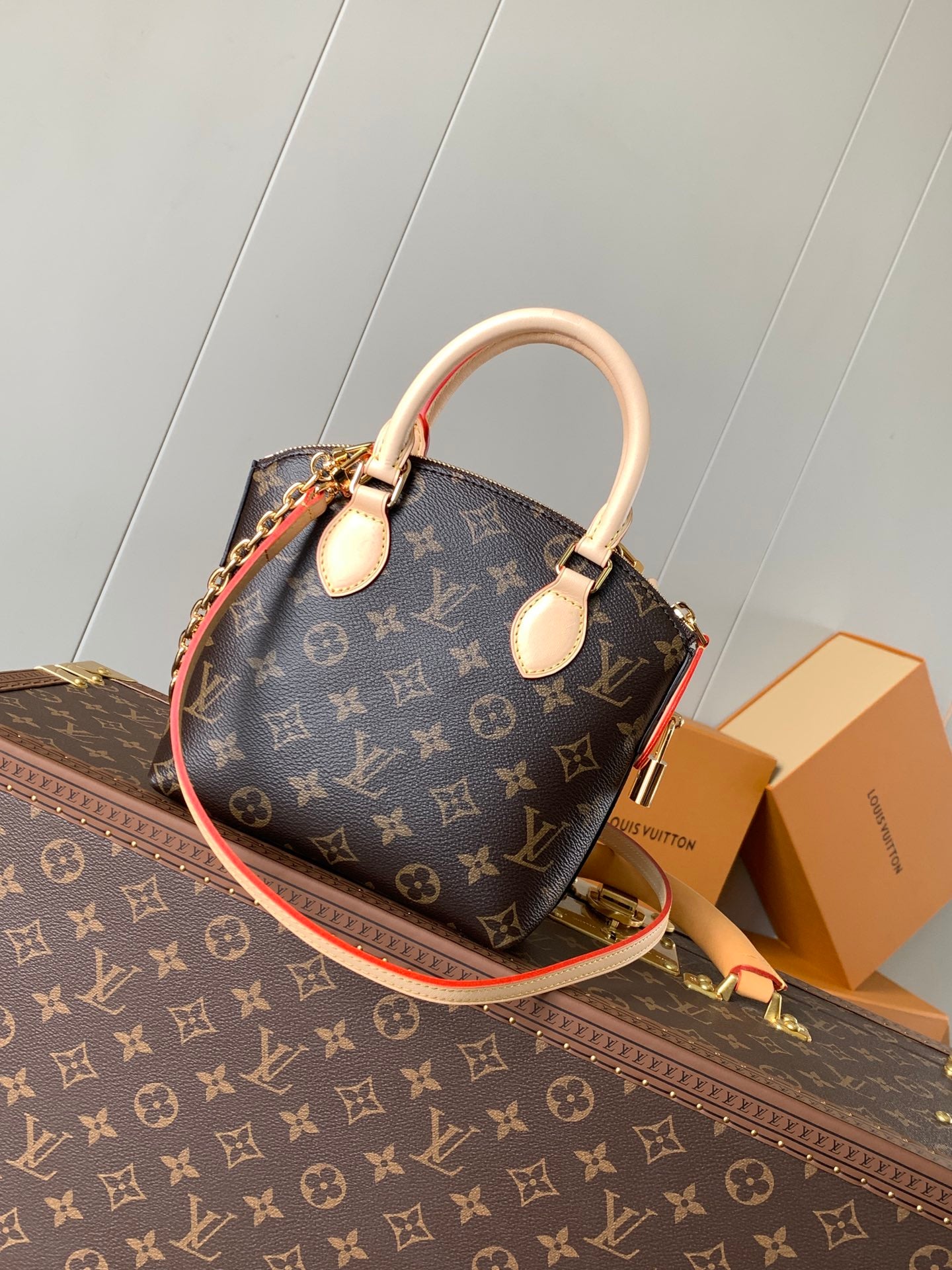 Louis Vuitton Handbag