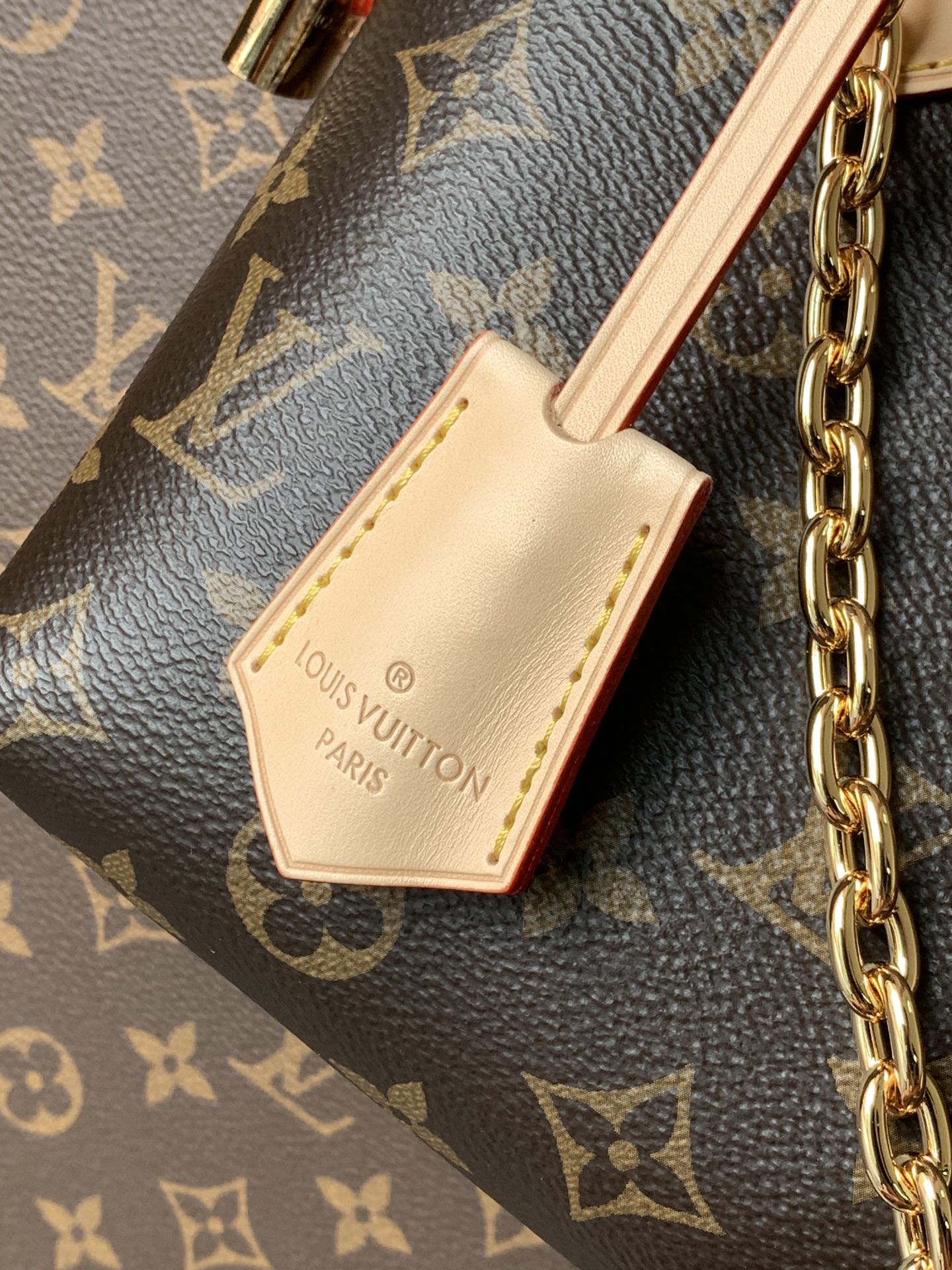 Louis Vuitton Handbag