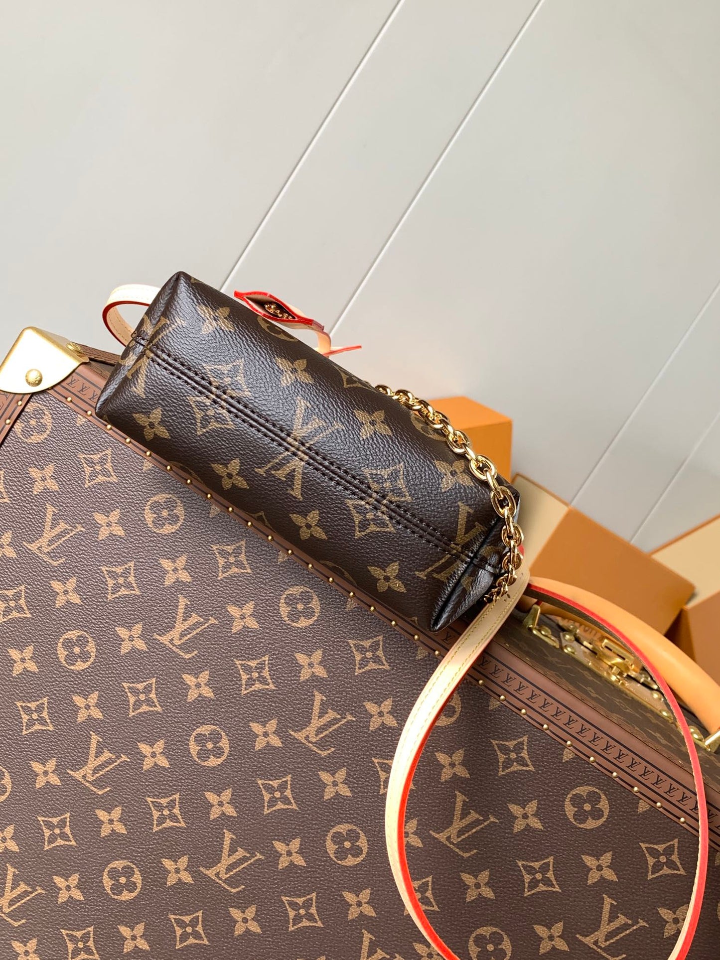 Louis Vuitton Handbag
