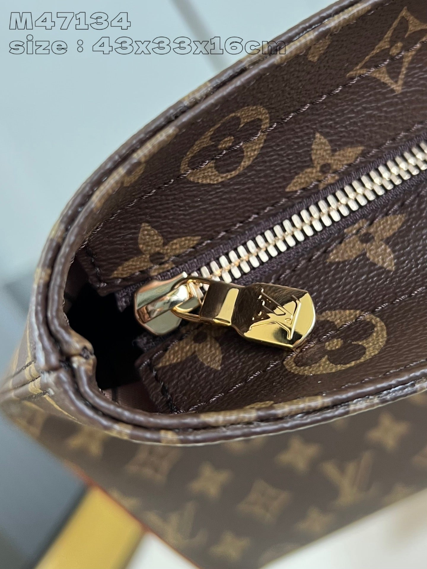Louis Vuitton Handbag