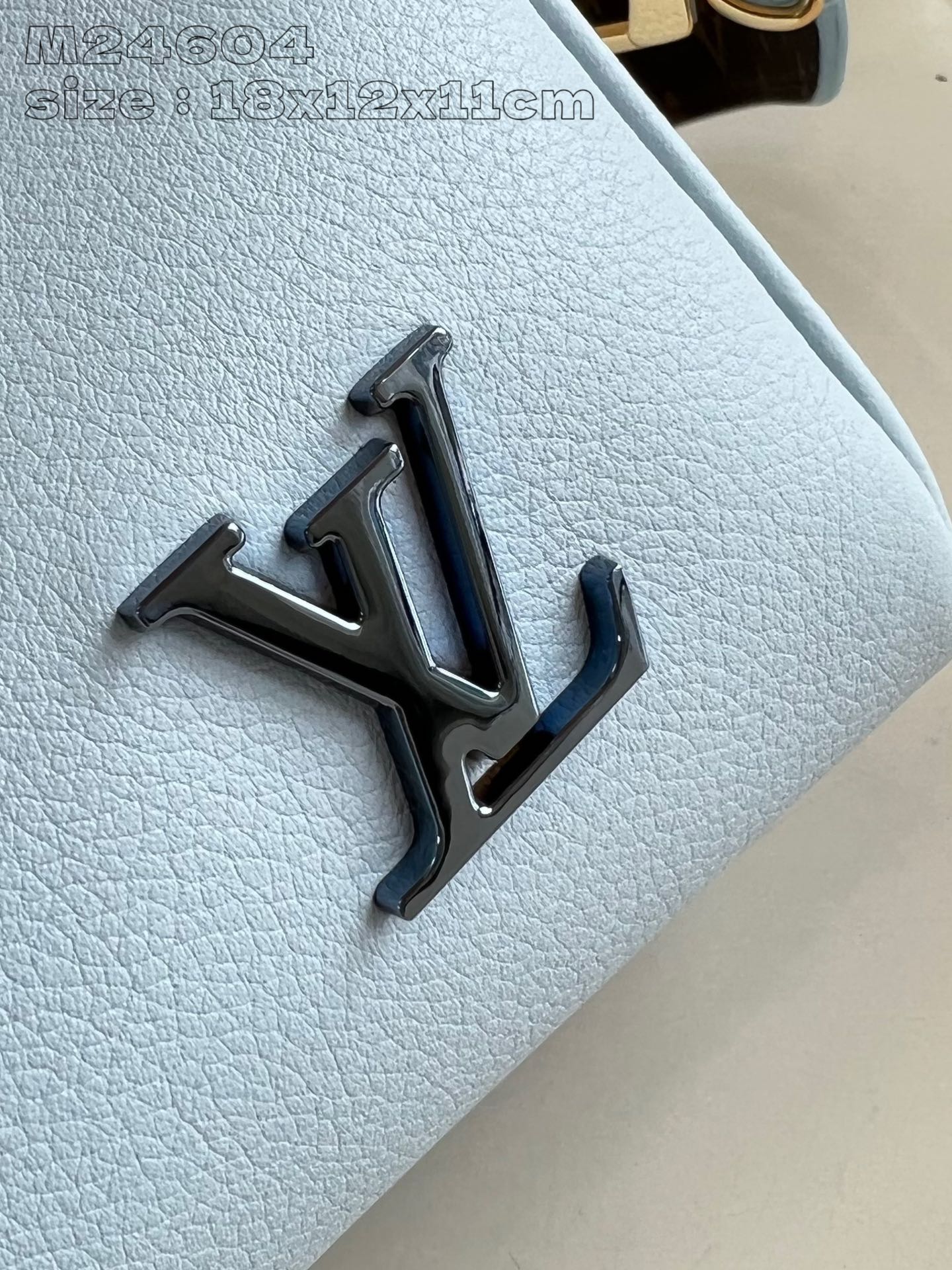 Louis Vuitton Handbag