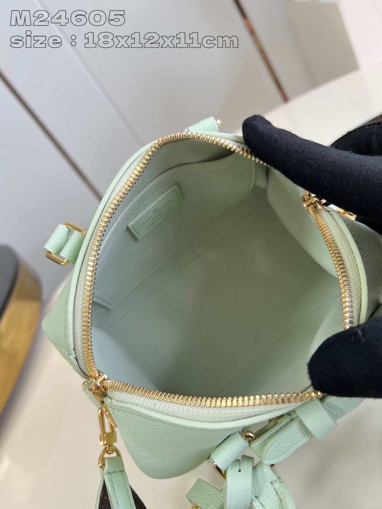 Louis Vuitton Handbag