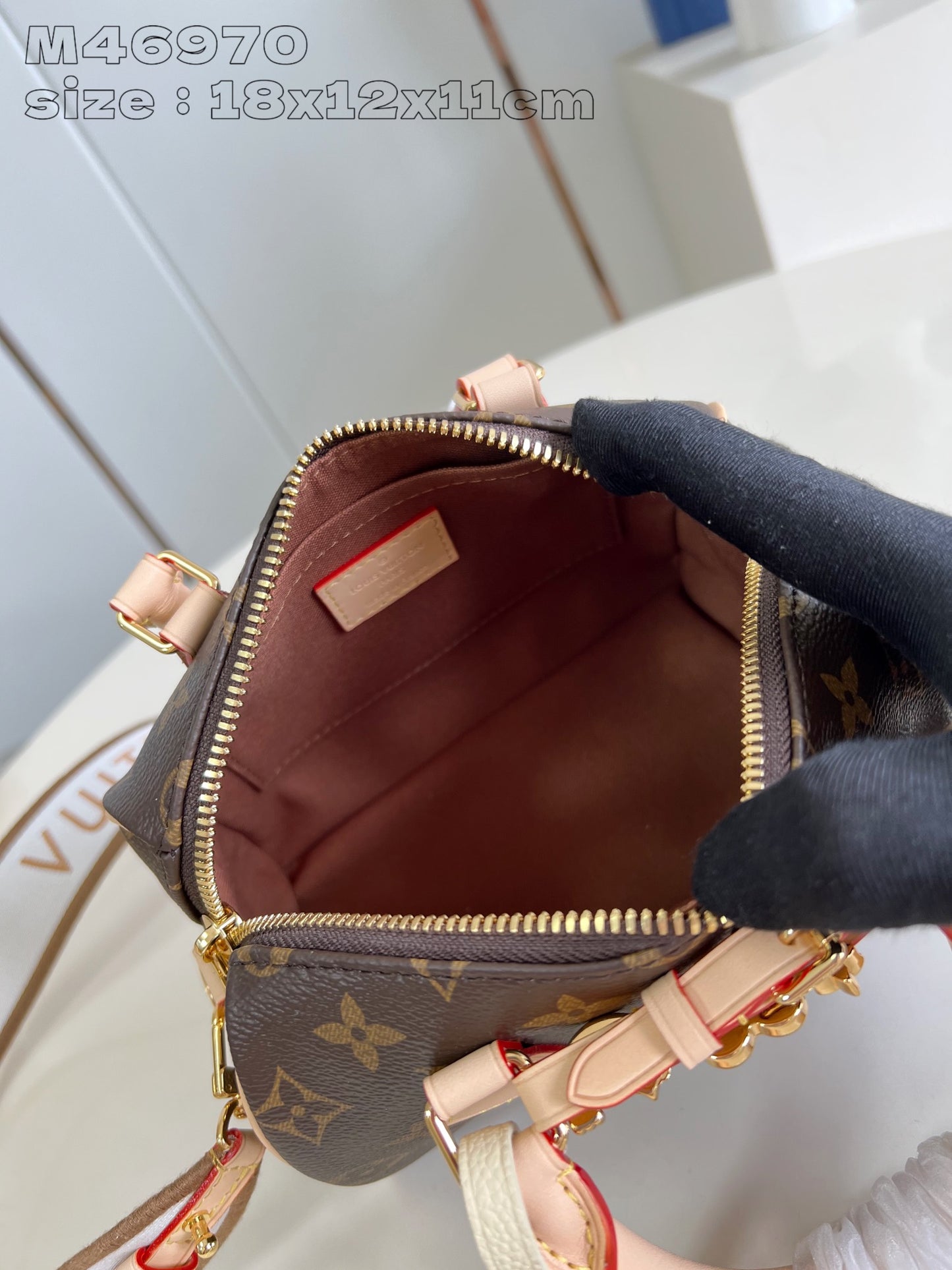 Louis Vuitton Handbag