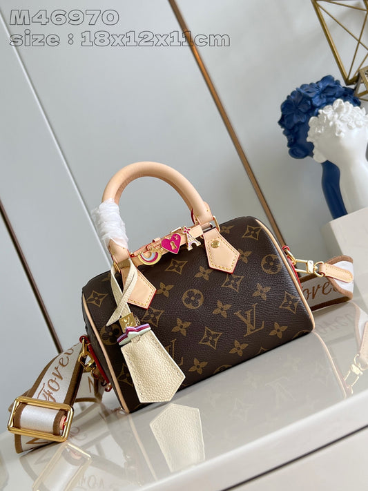 Louis Vuitton Handbag