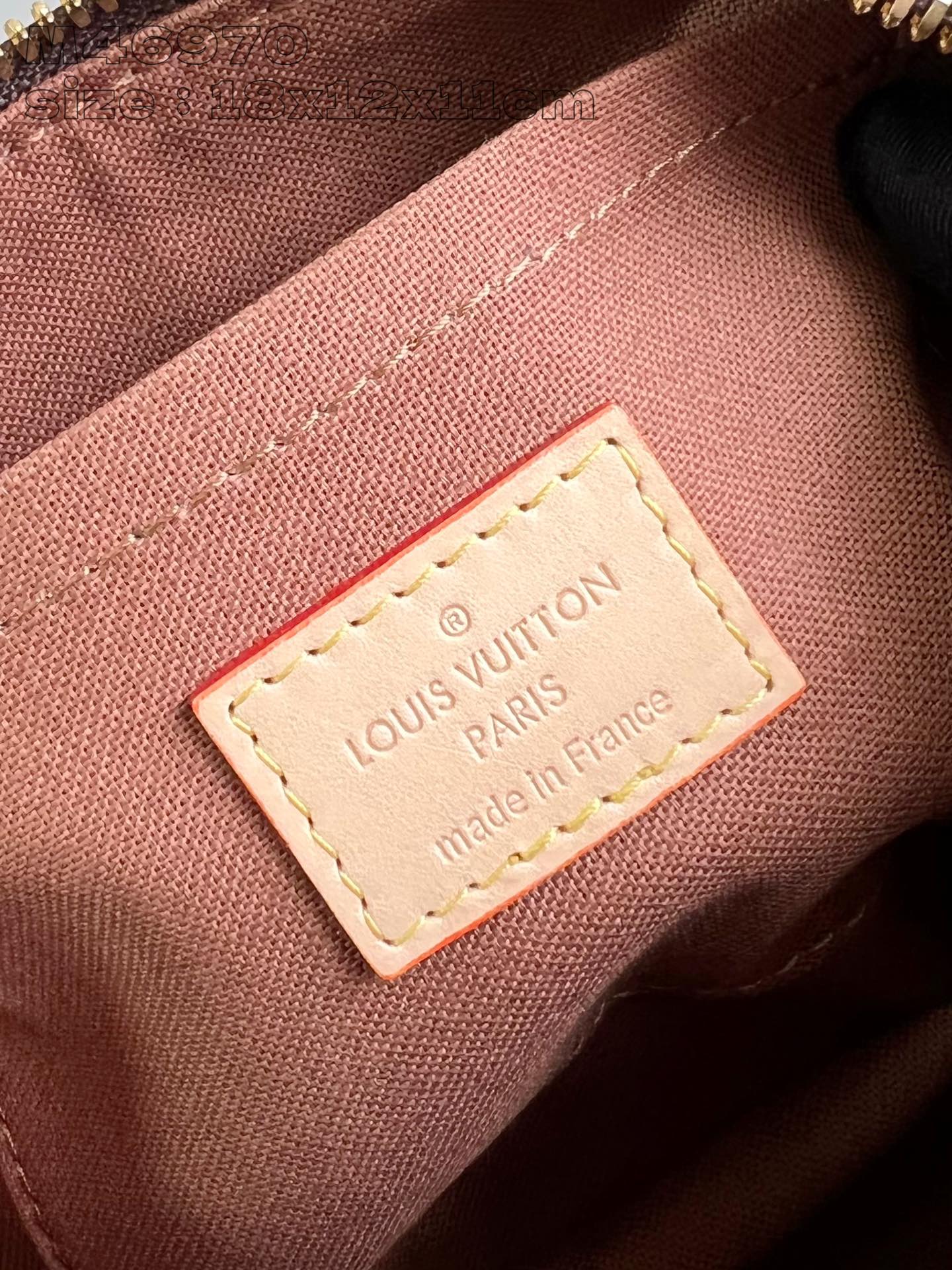 Louis Vuitton Handbag