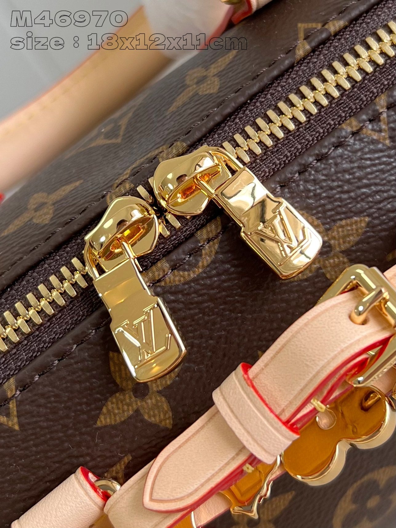 Louis Vuitton Handbag