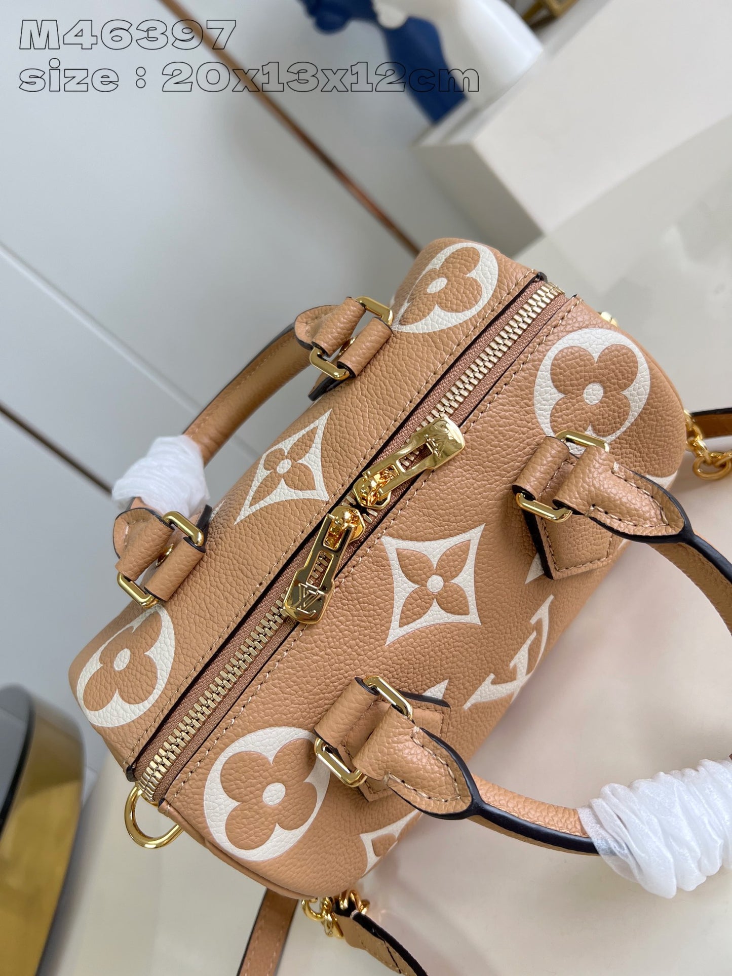 Louis Vuitton Handbag