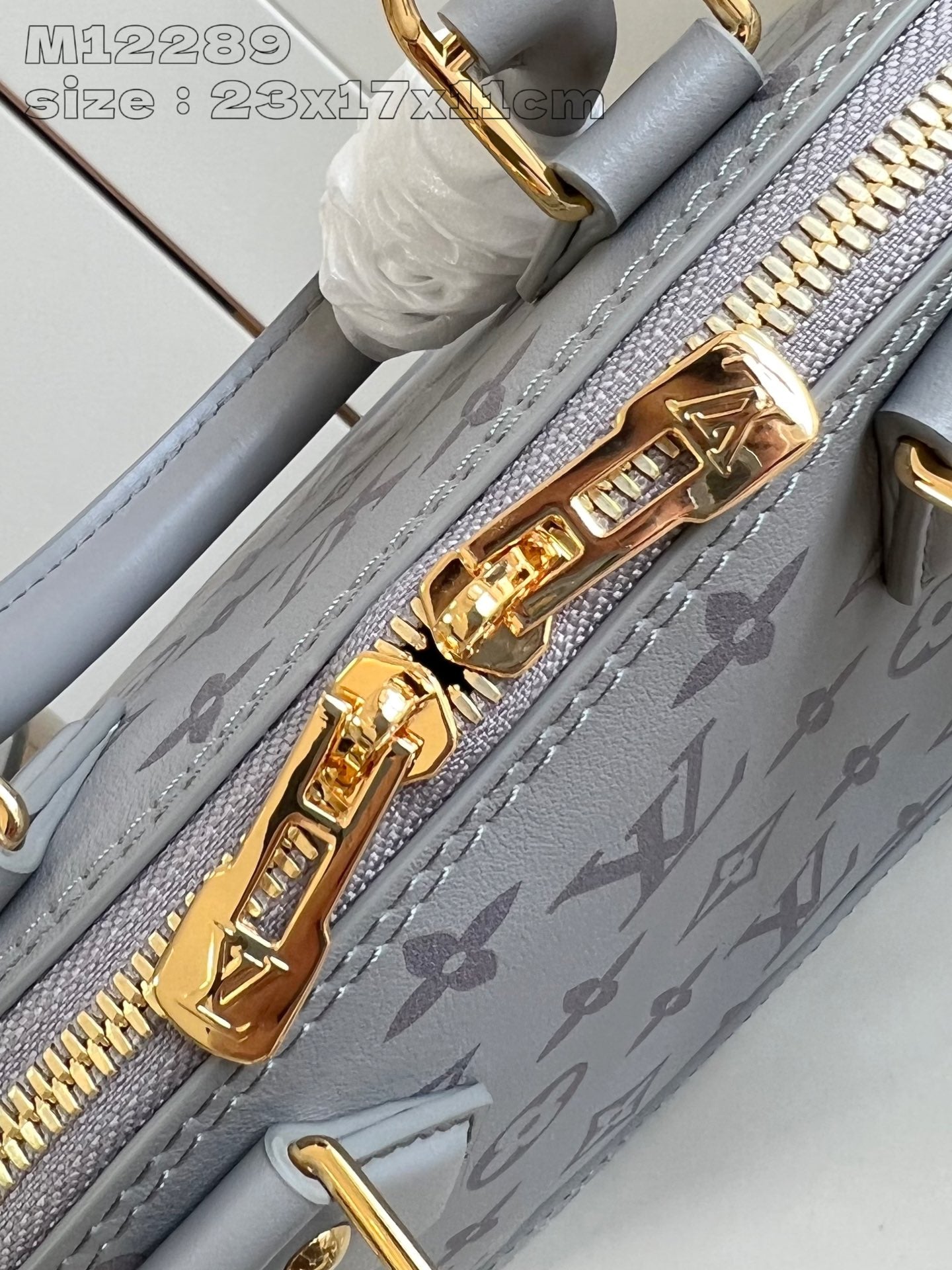 Louis Vuitton Handbag