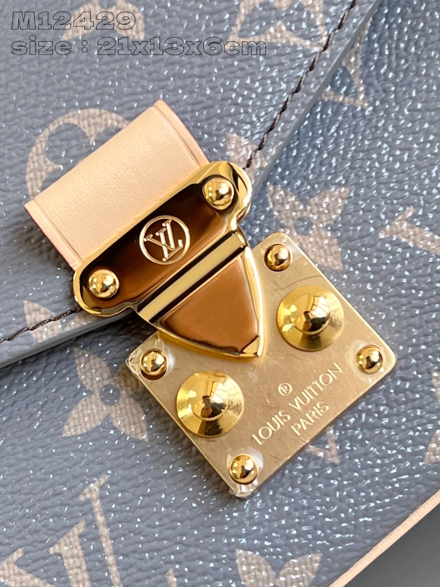 Louis Vuitton Handbag