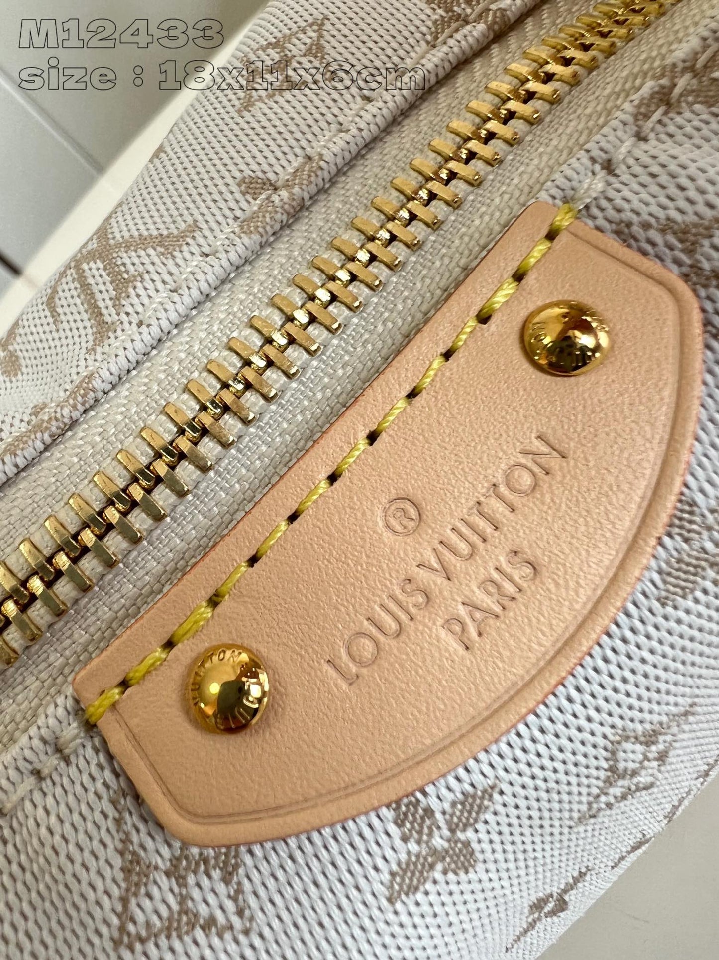 Louis Vuitton Handbag