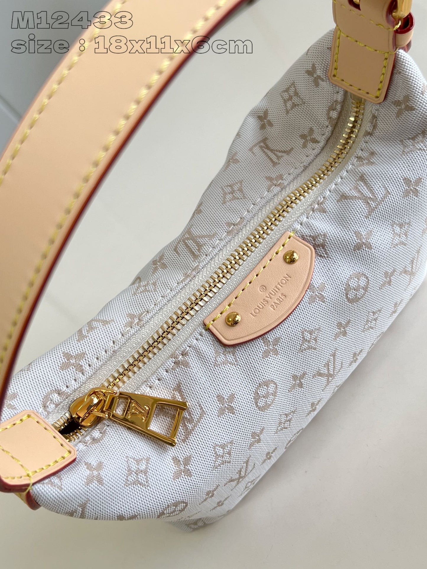 Louis Vuitton Handbag
