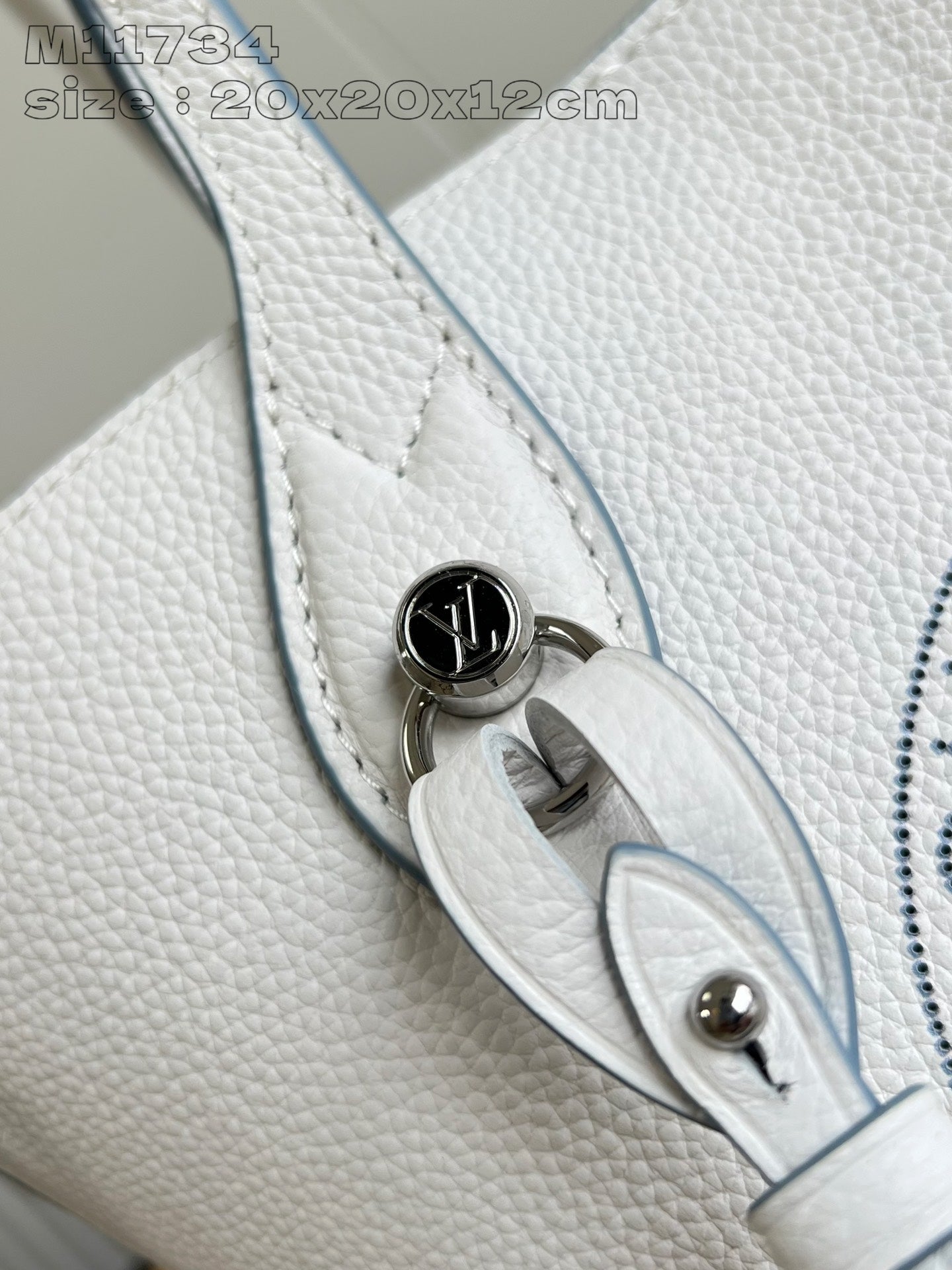 Louis Vuitton Handbag