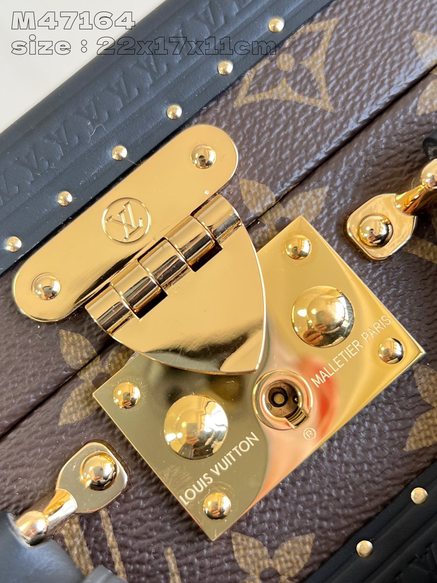 Louis Vuitton Handbag