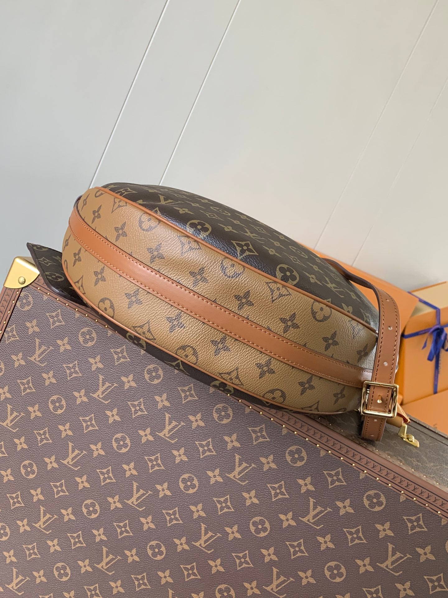 Louis Vuitton Handbag