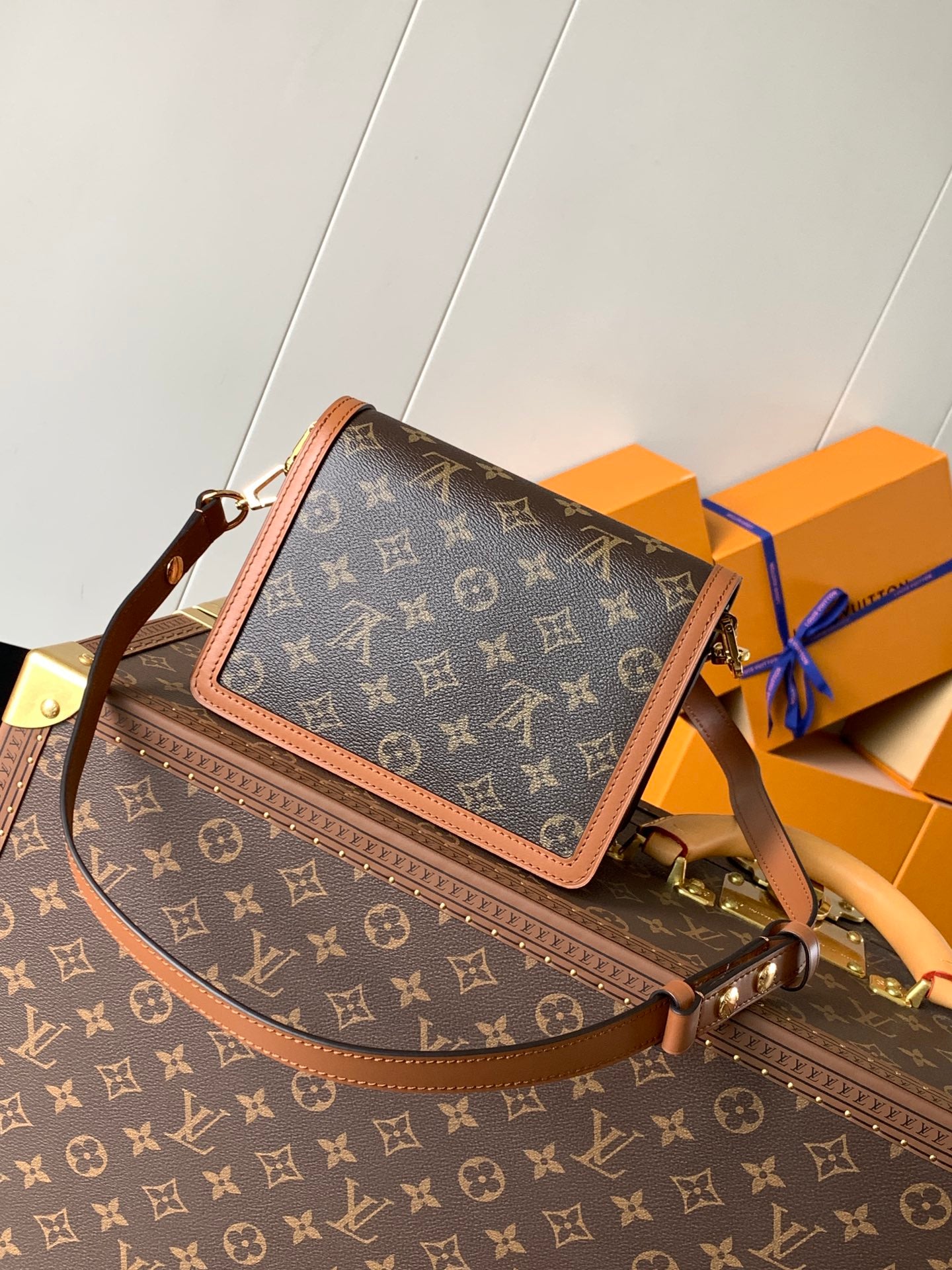 Louis Vuitton Handbag