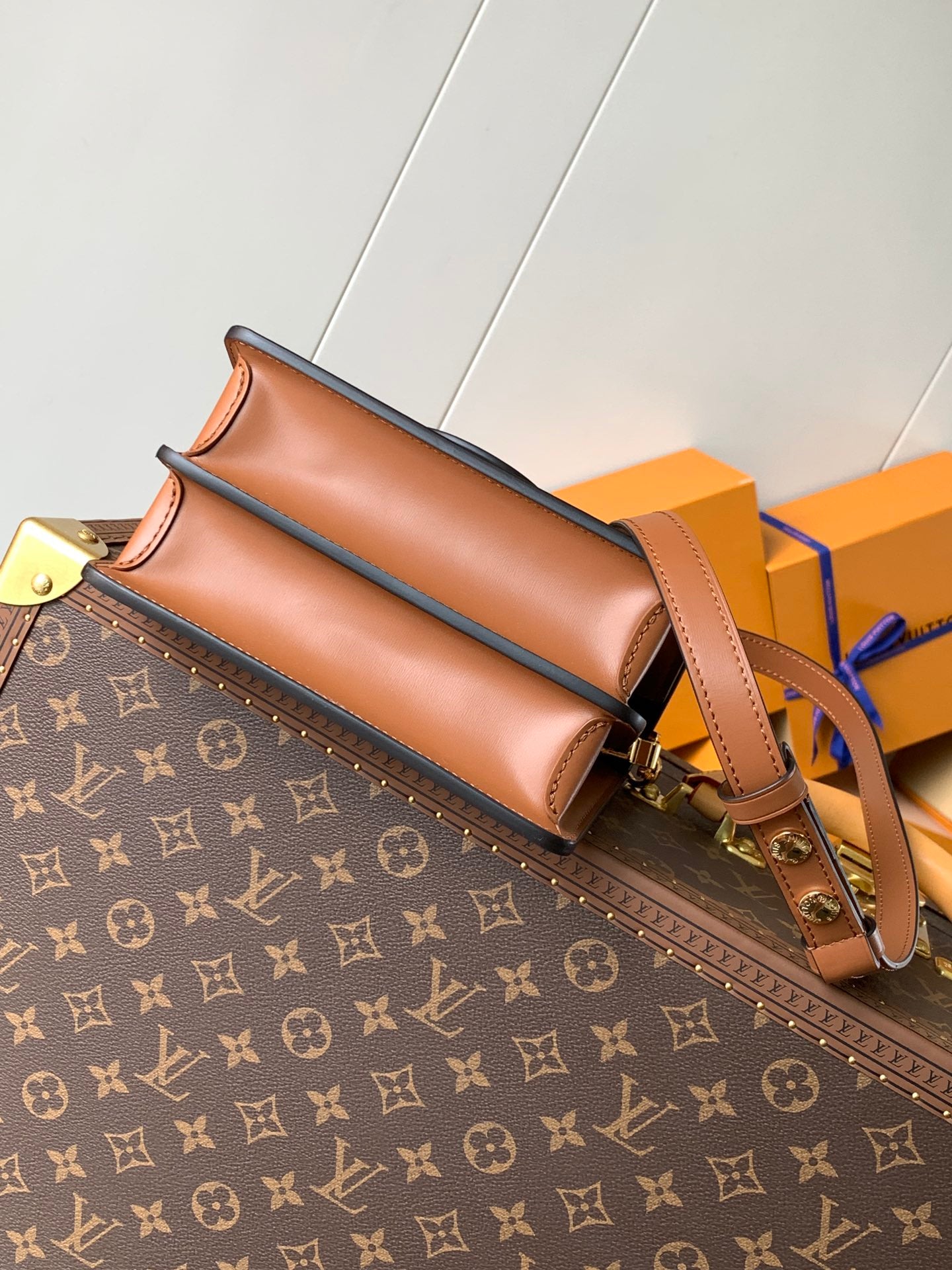 Louis Vuitton Handbag