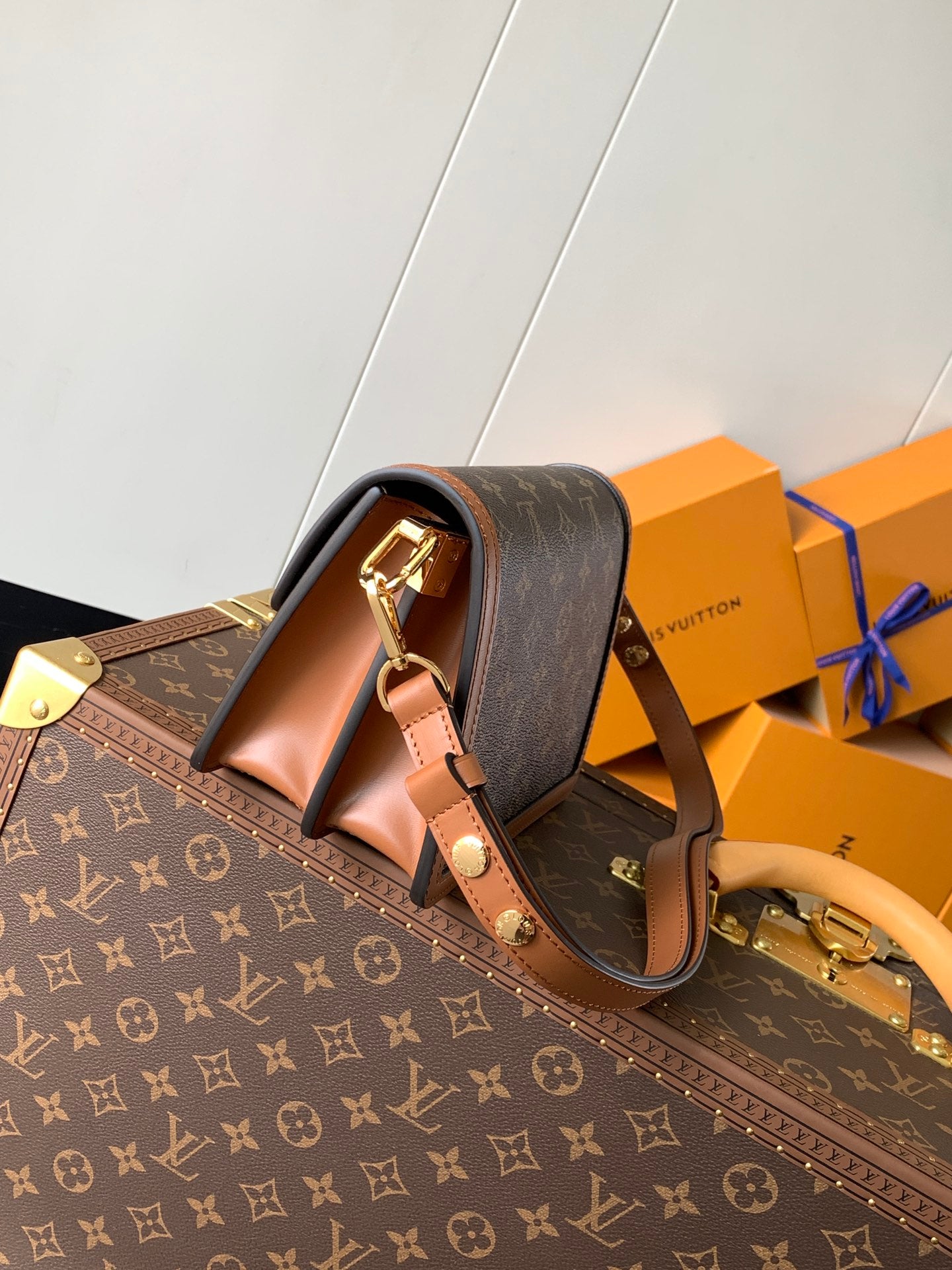 Louis Vuitton Handbag