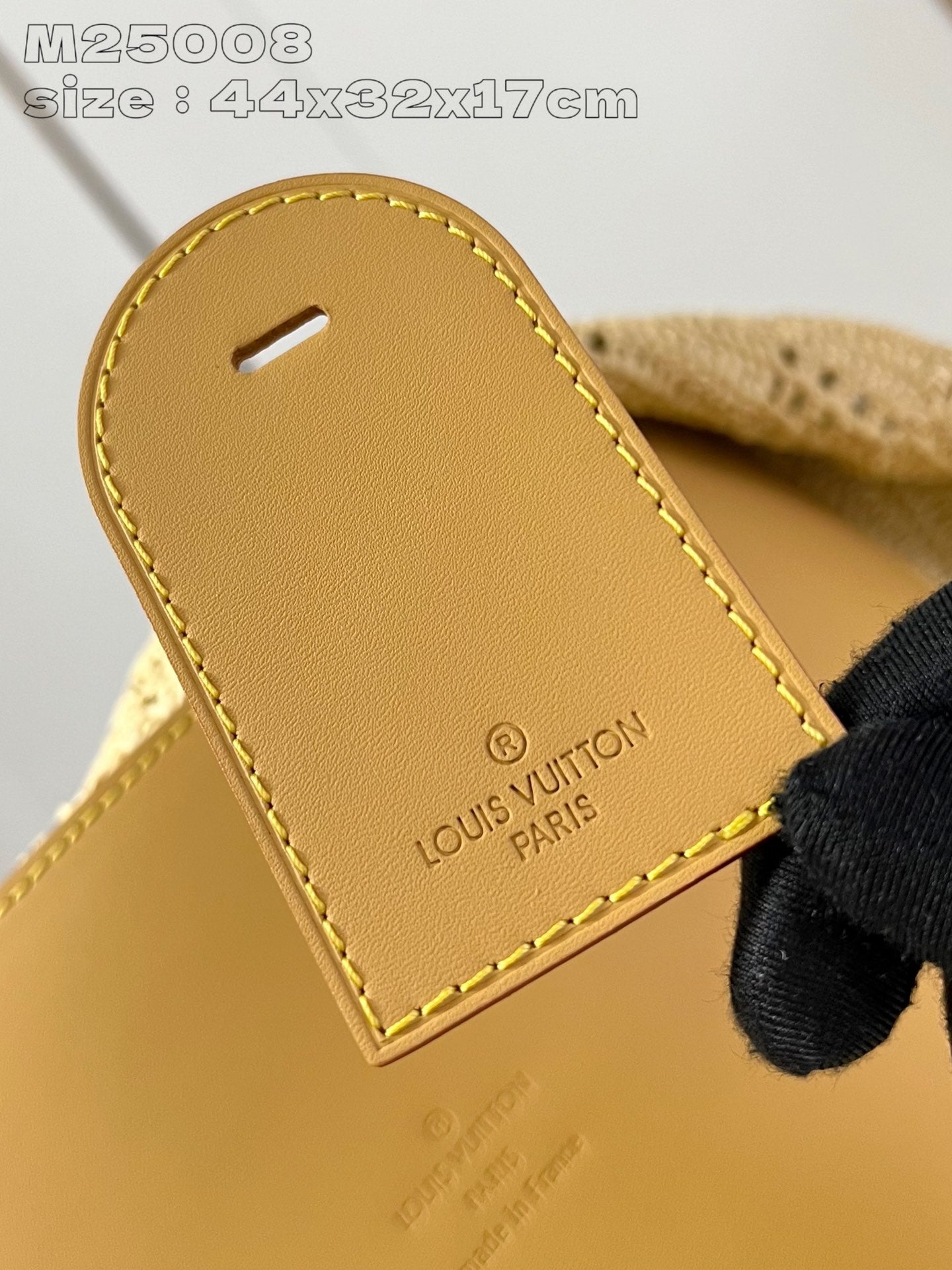 Louis Vuitton Handbag