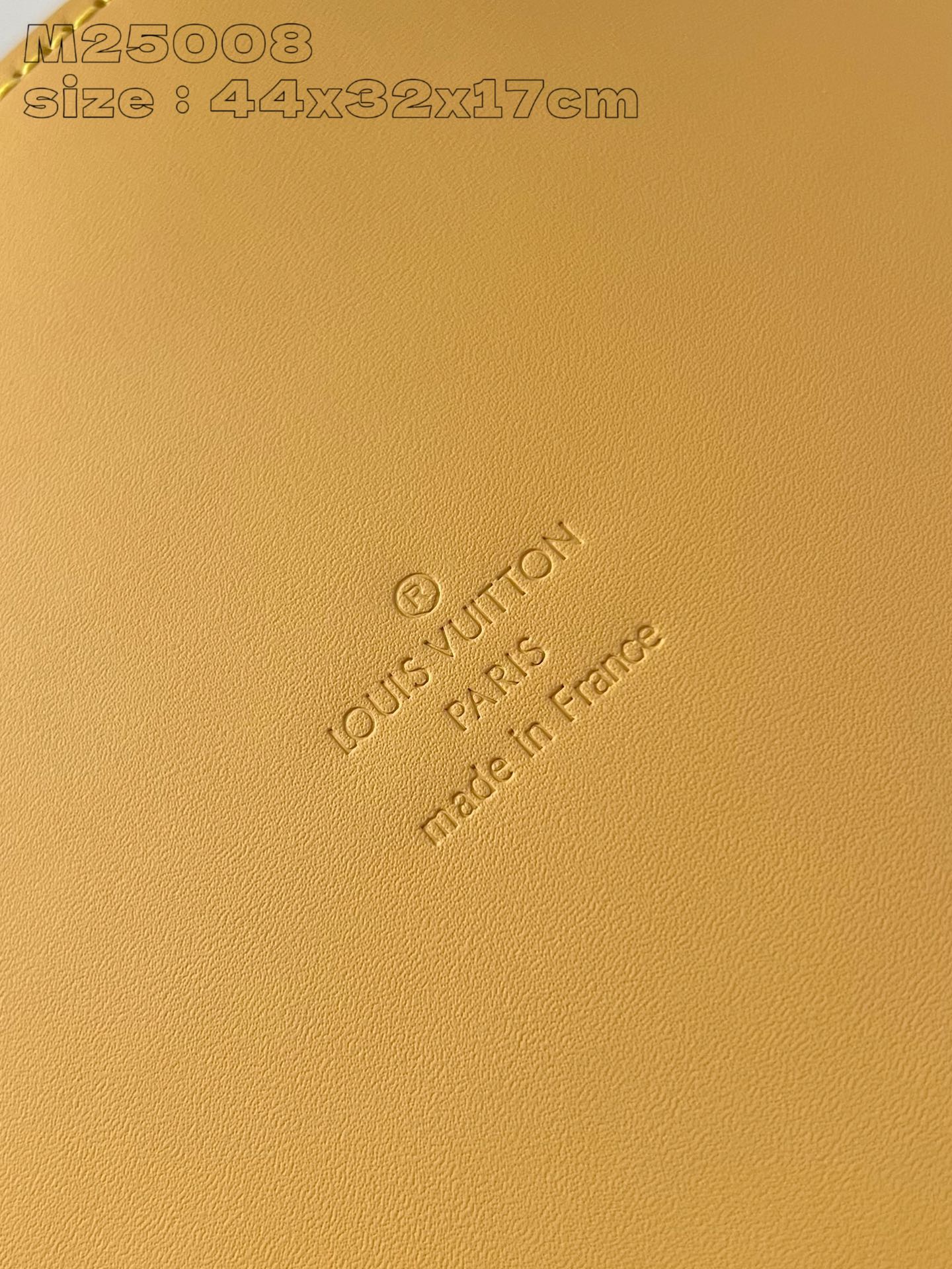 Louis Vuitton Handbag