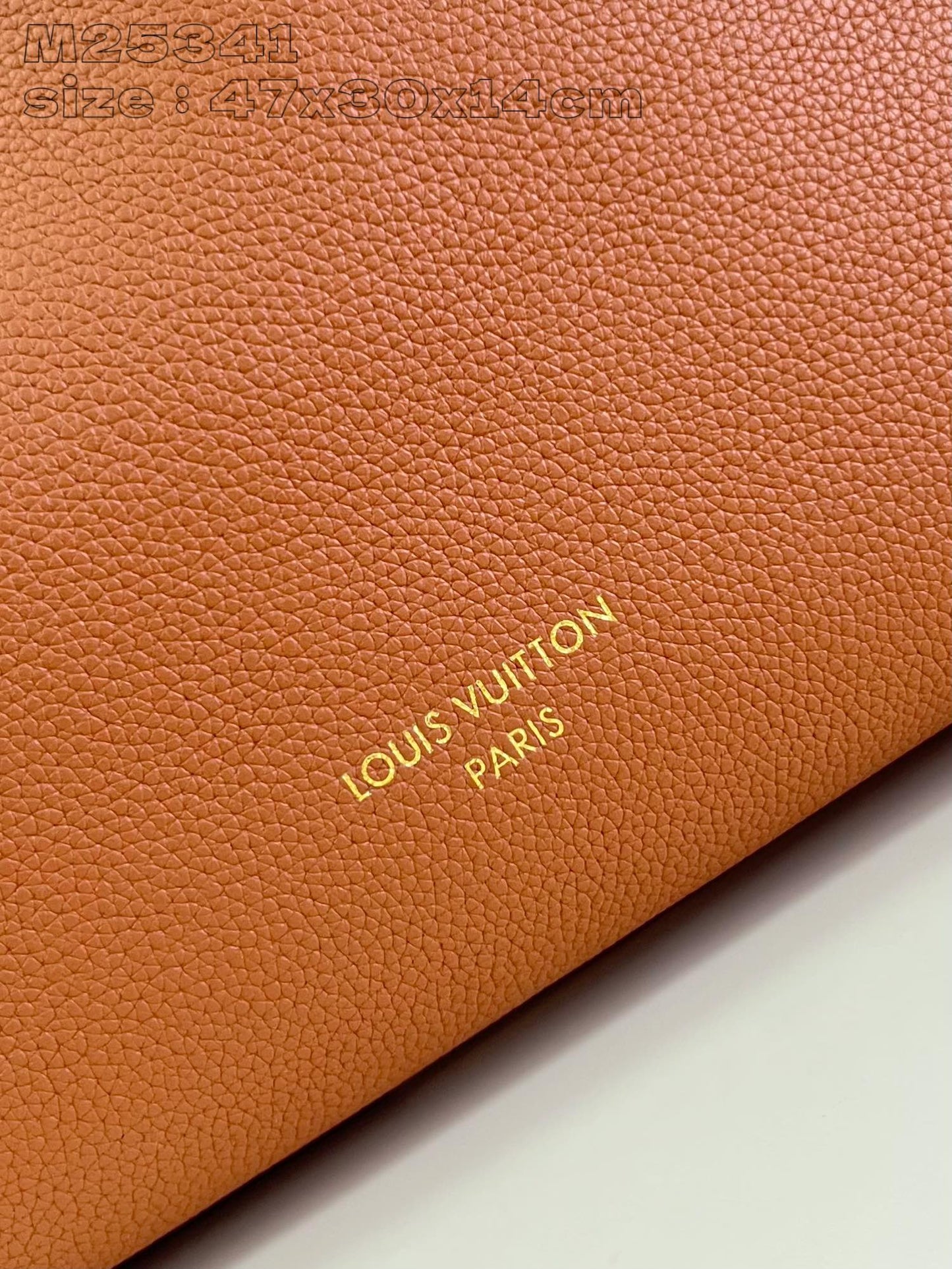 Louis Vuitton Handbag