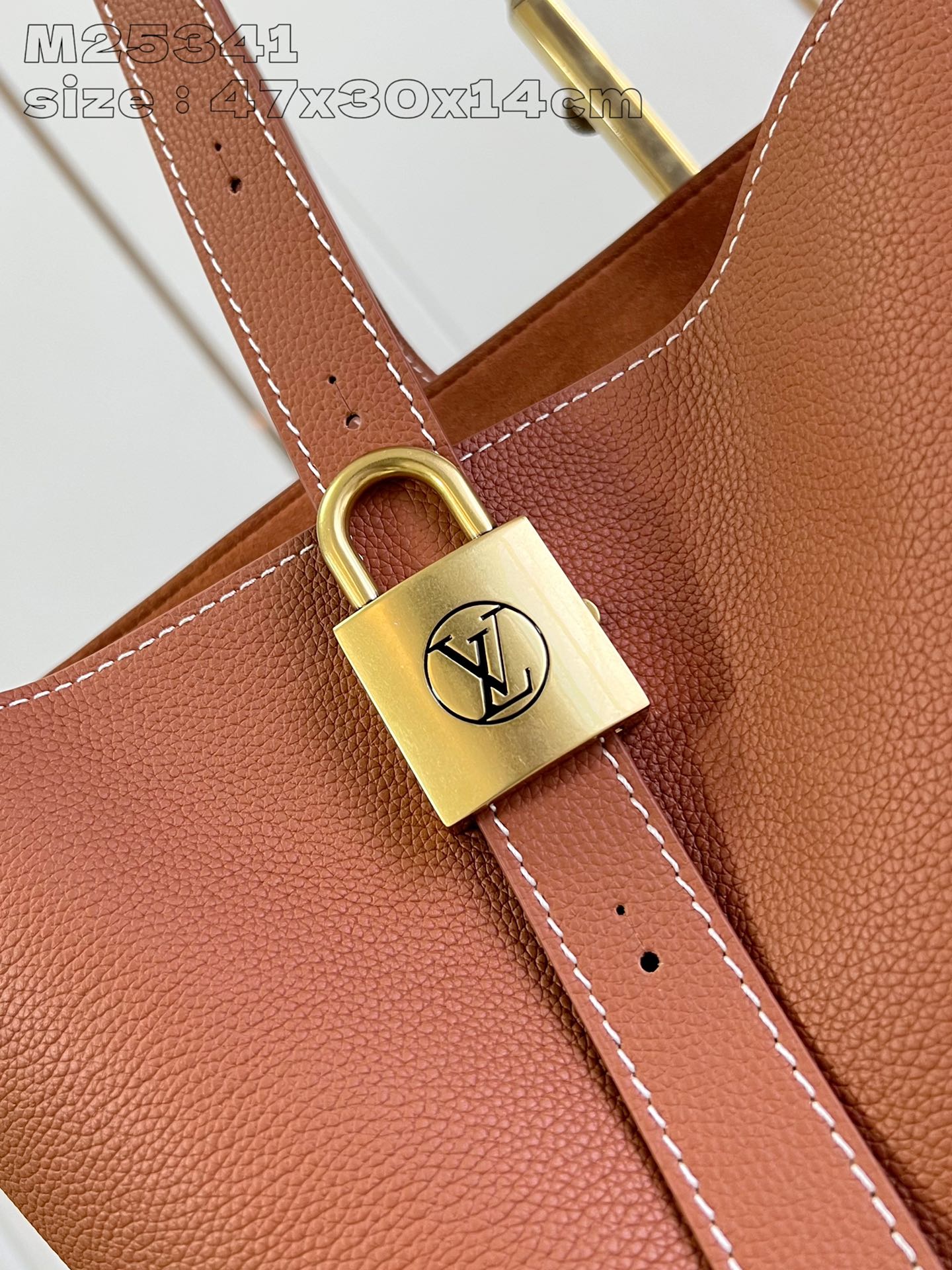 Louis Vuitton Handbag