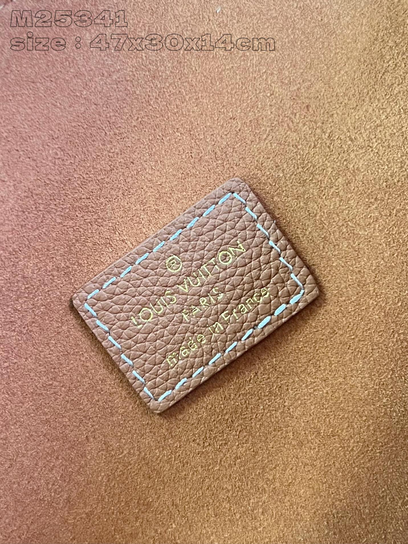 Louis Vuitton Handbag