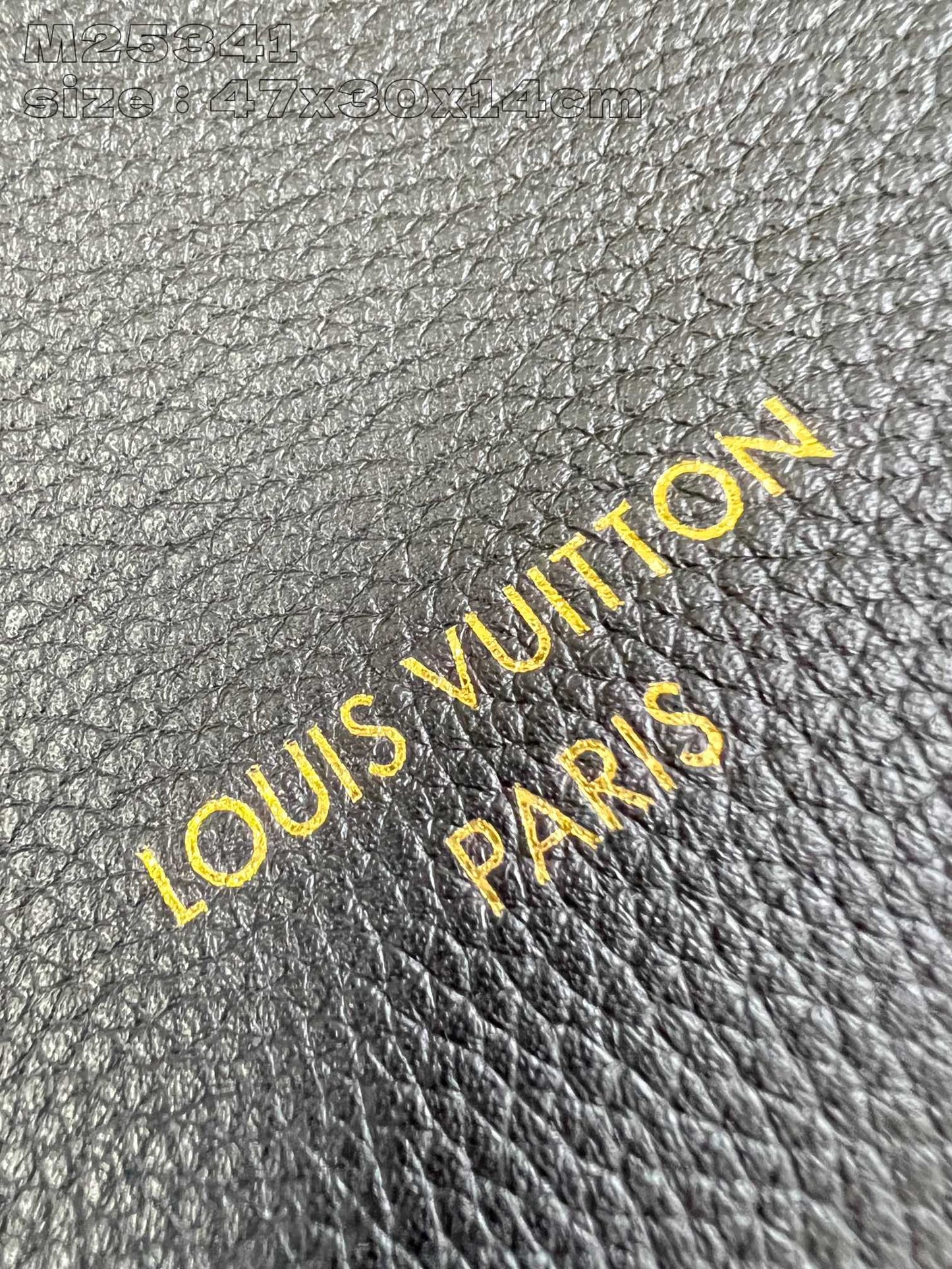 Louis Vuitton Handbag