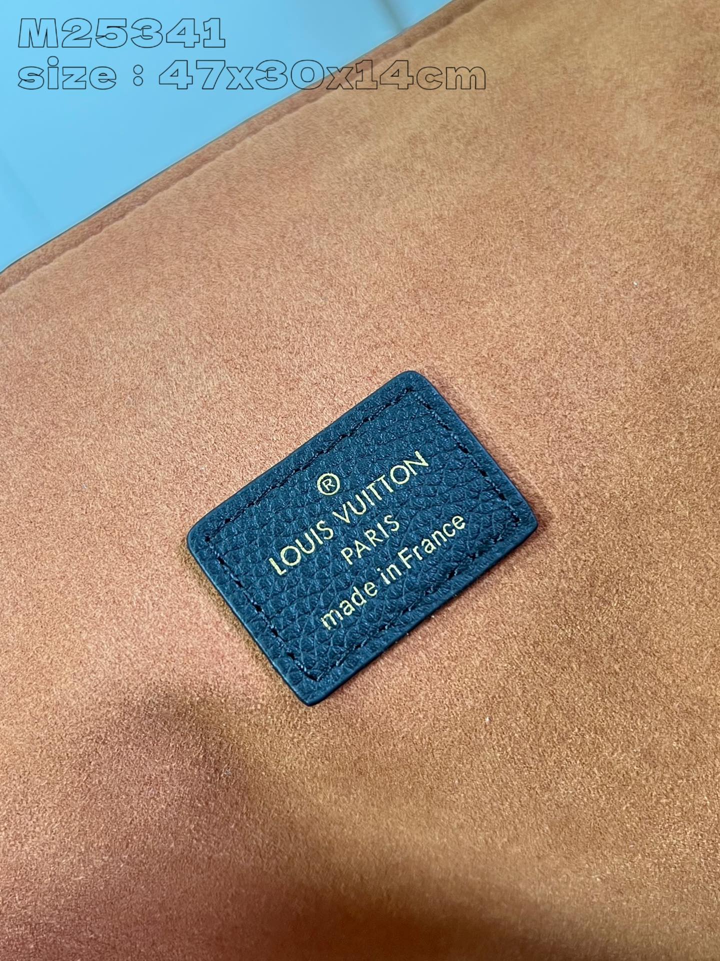 Louis Vuitton Handbag