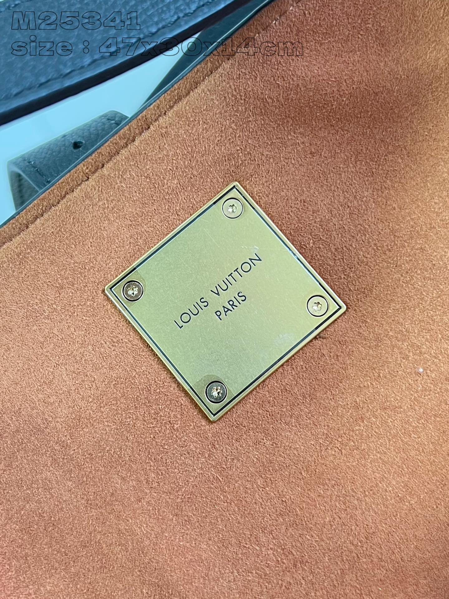 Louis Vuitton Handbag