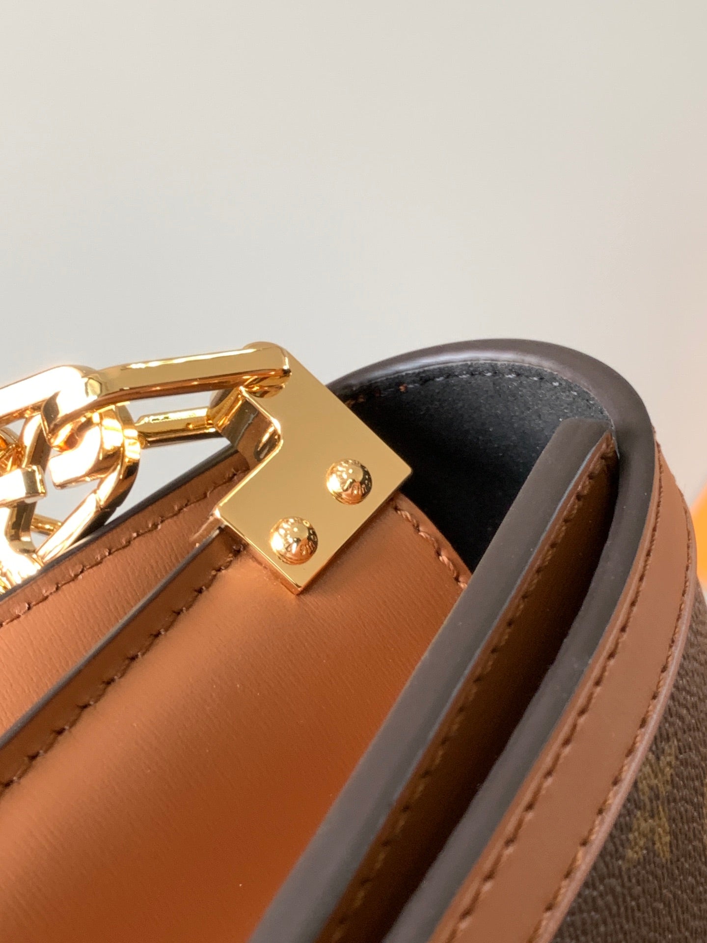 Louis Vuitton Handbag