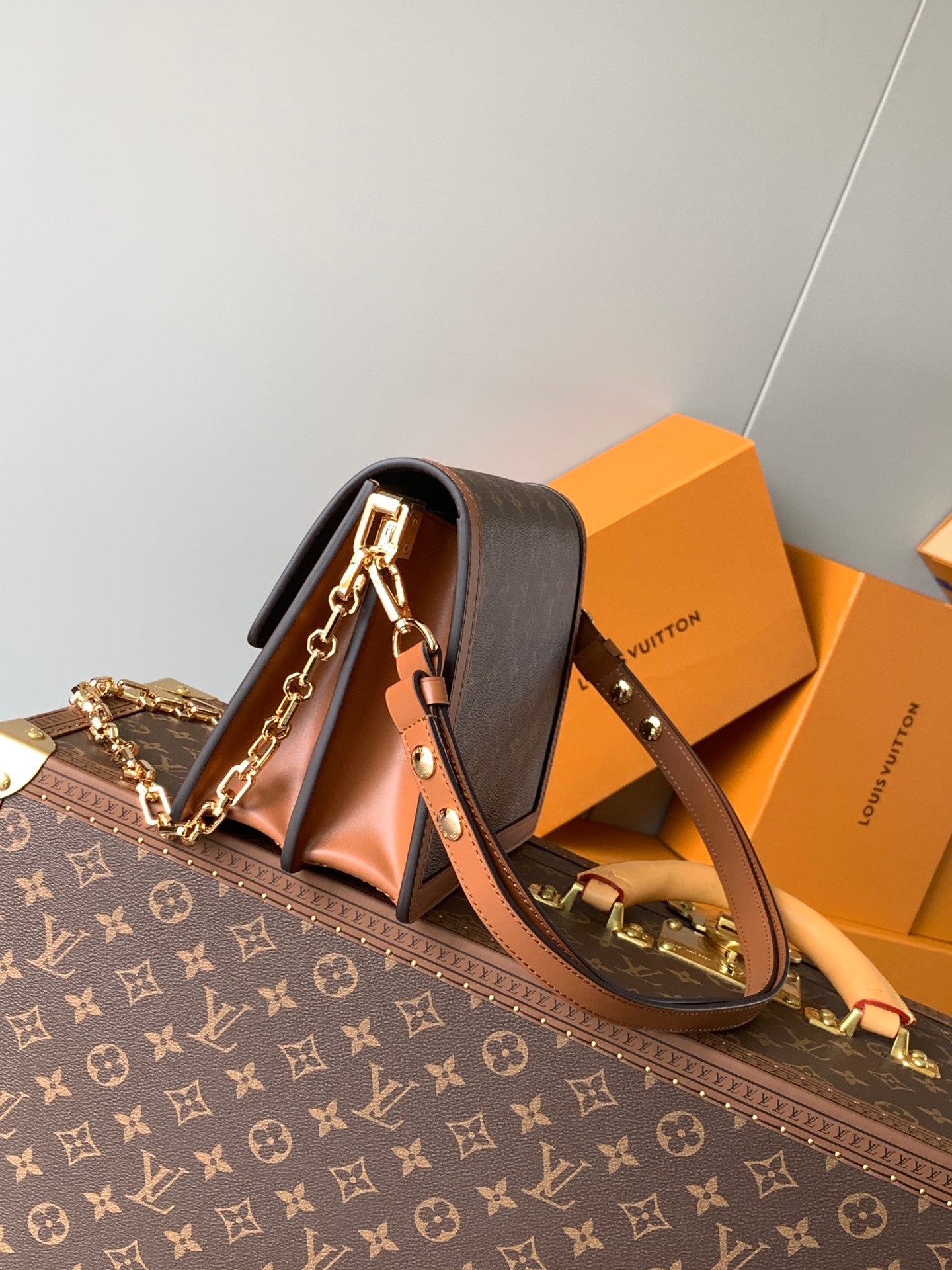 Louis Vuitton Handbag