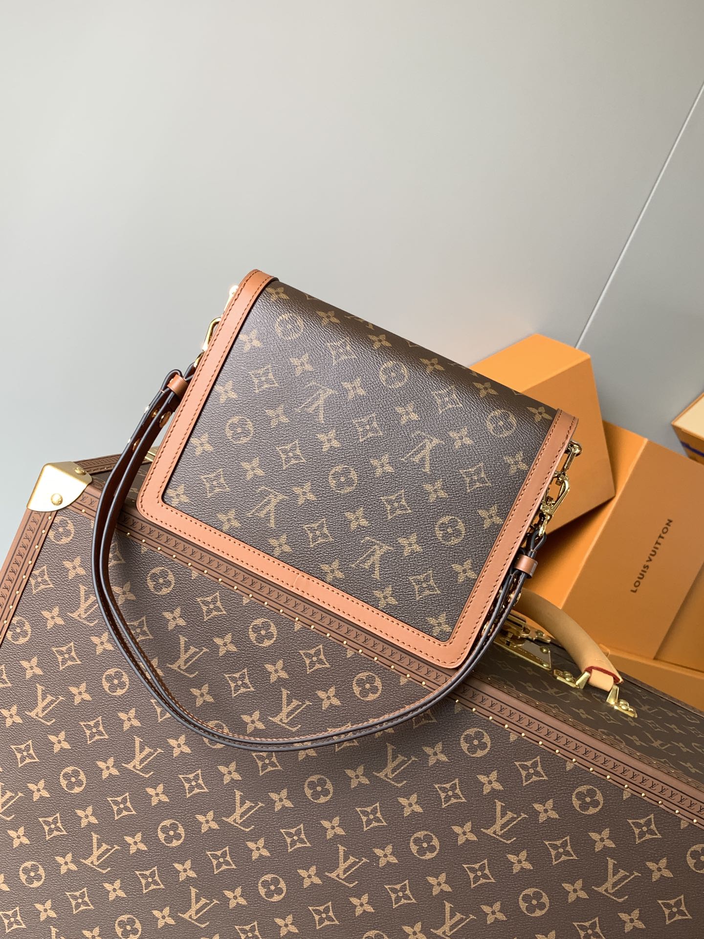 Louis Vuitton Handbag