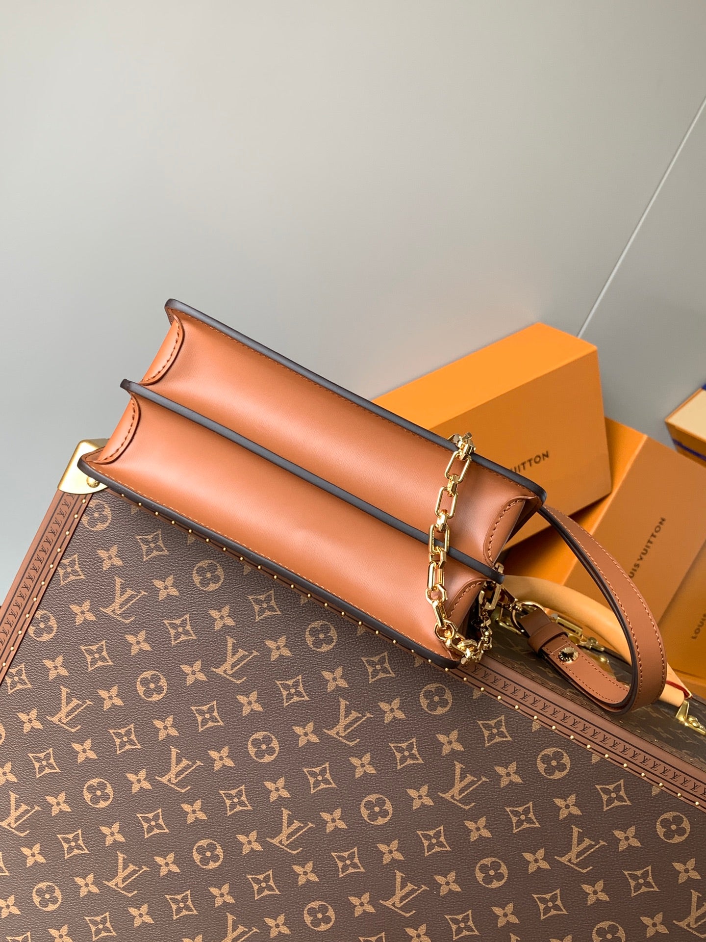 Louis Vuitton Handbag