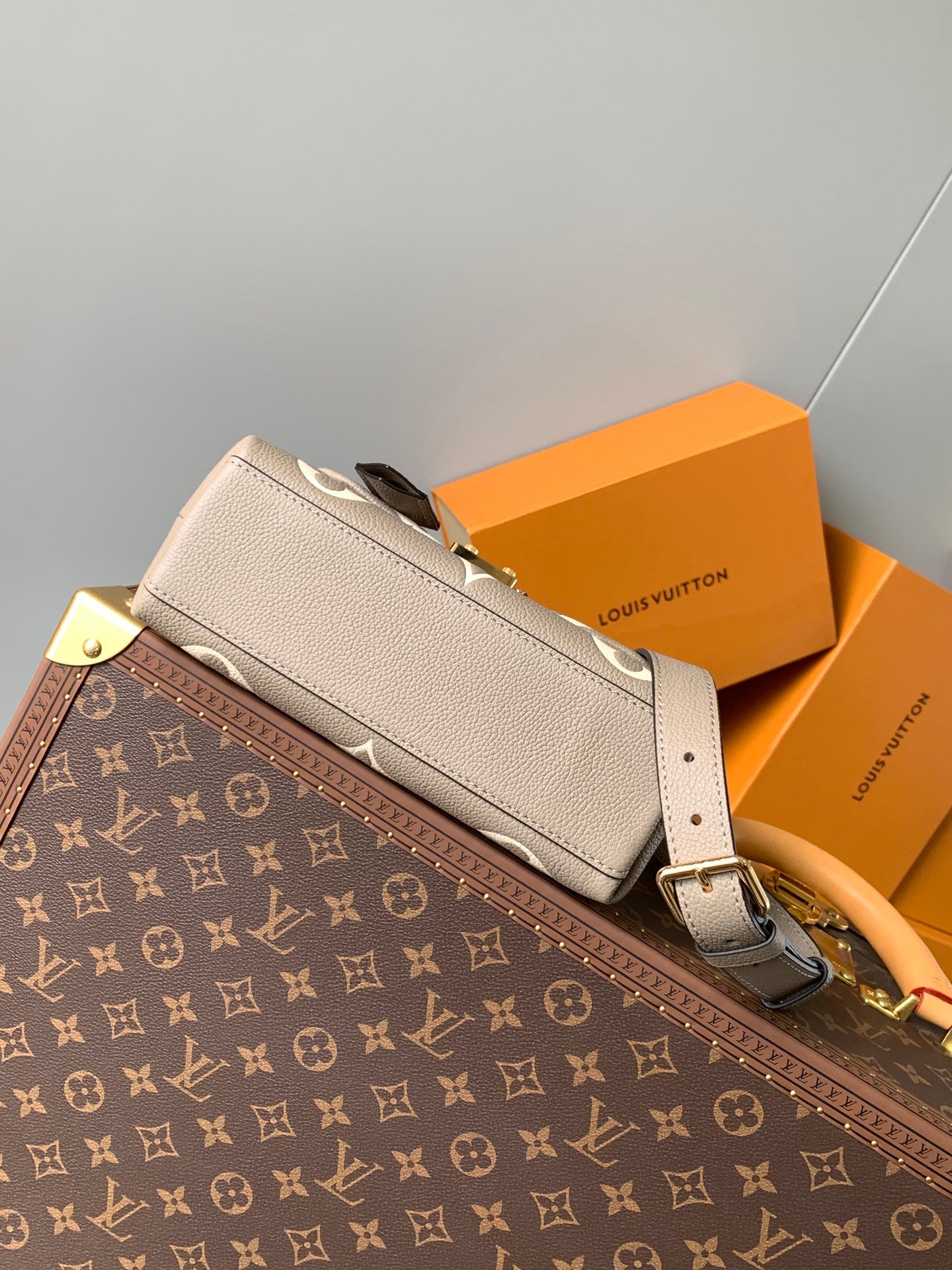 Louis Vuitton Handbag