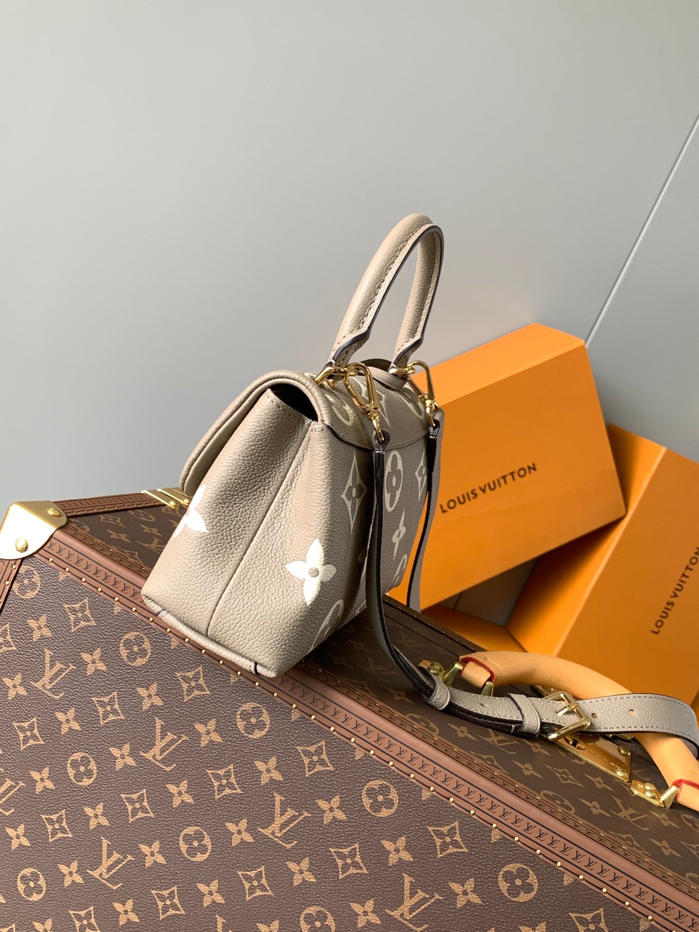 Louis Vuitton Handbag
