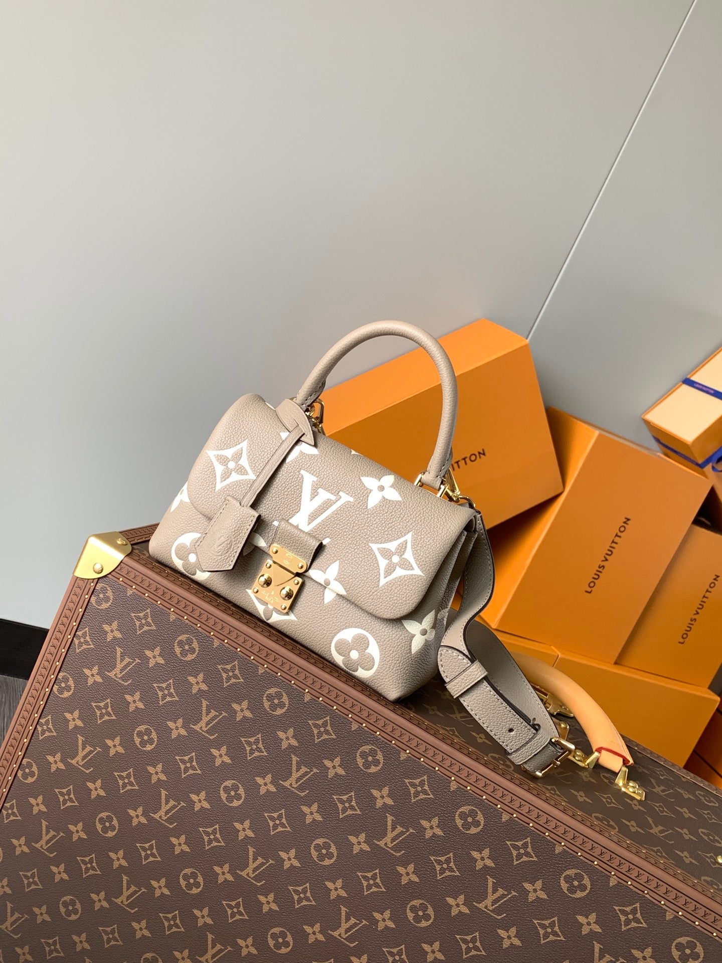 Louis Vuitton Handbag