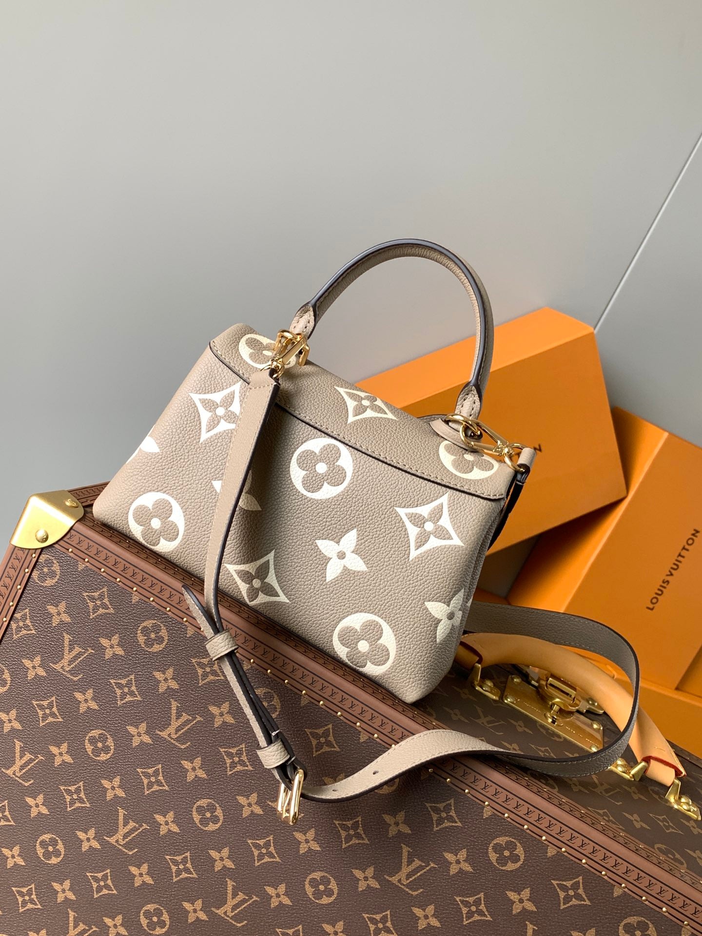 Louis Vuitton Handbag