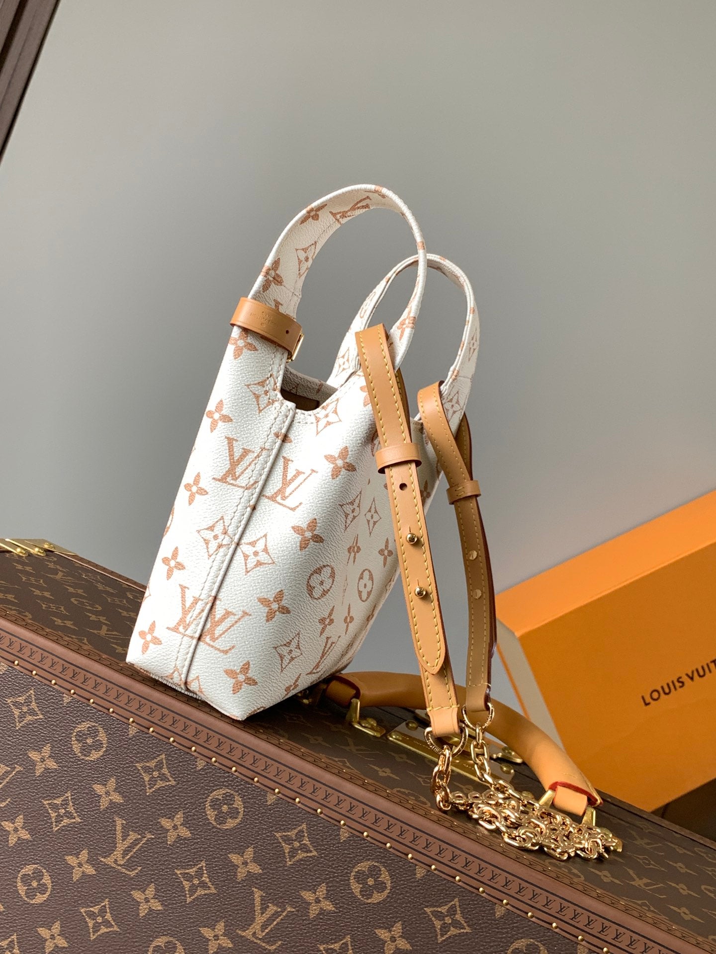 Louis Vuitton Handbag