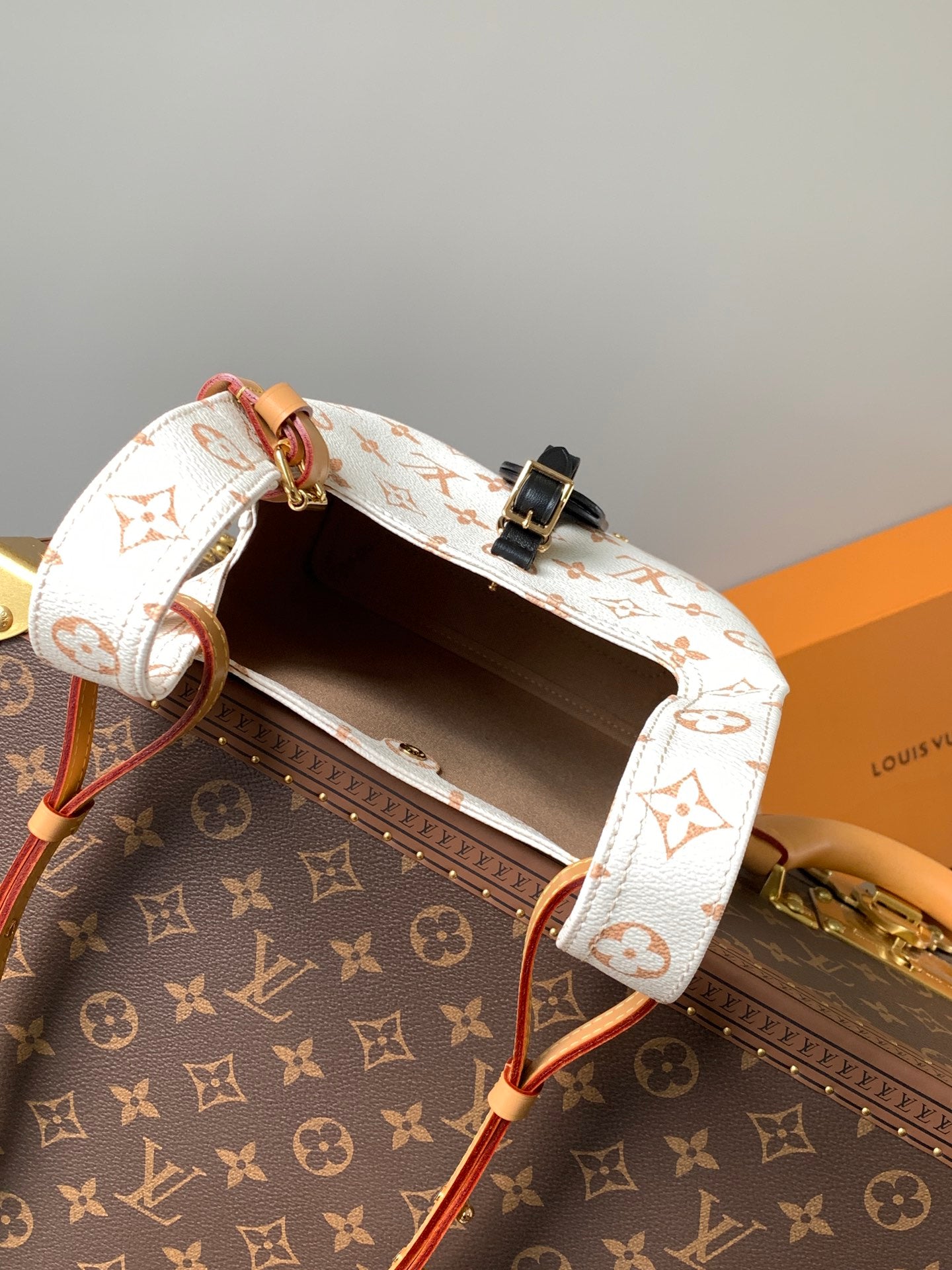 Louis Vuitton Handbag