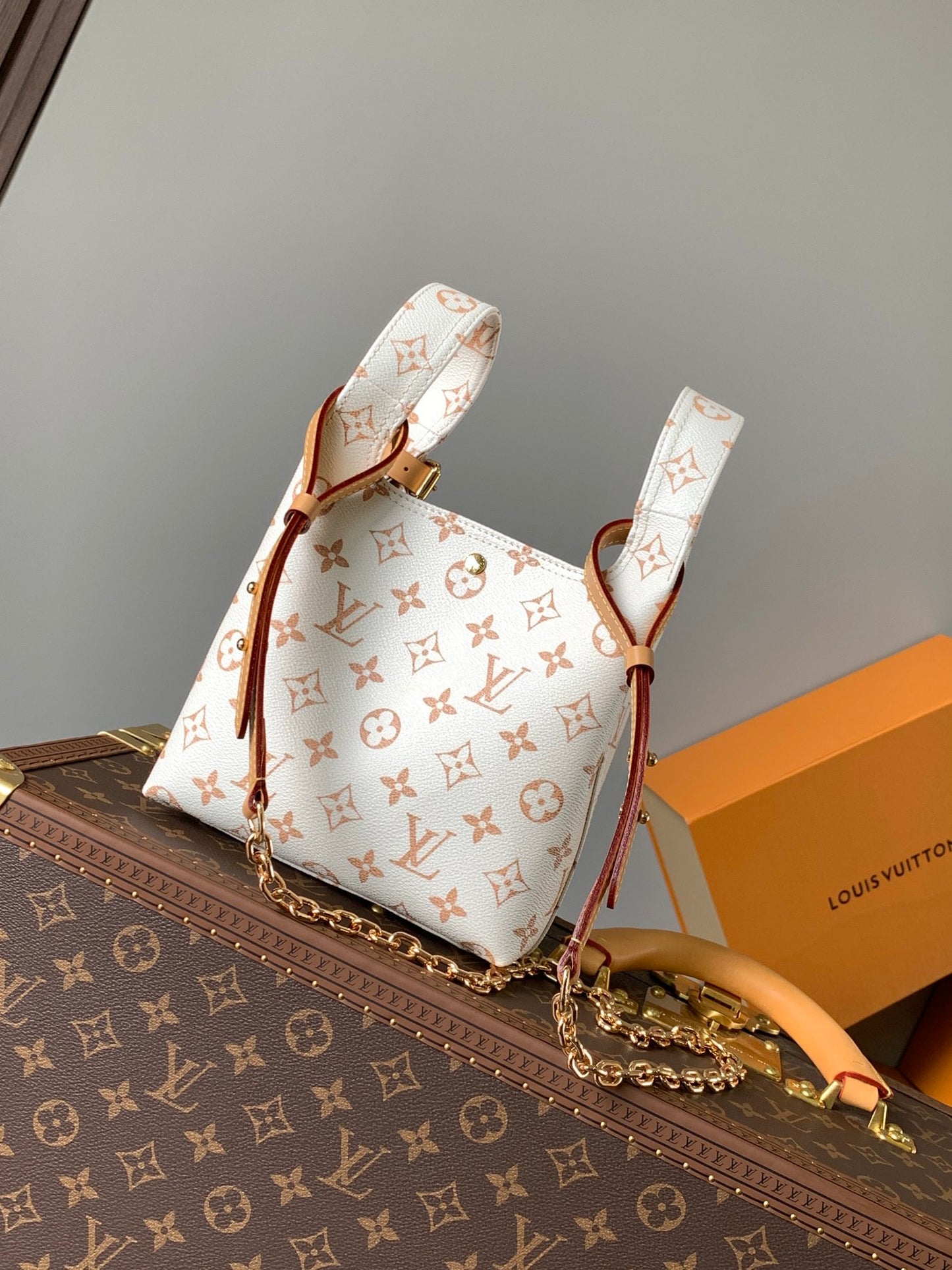 Louis Vuitton Handbag