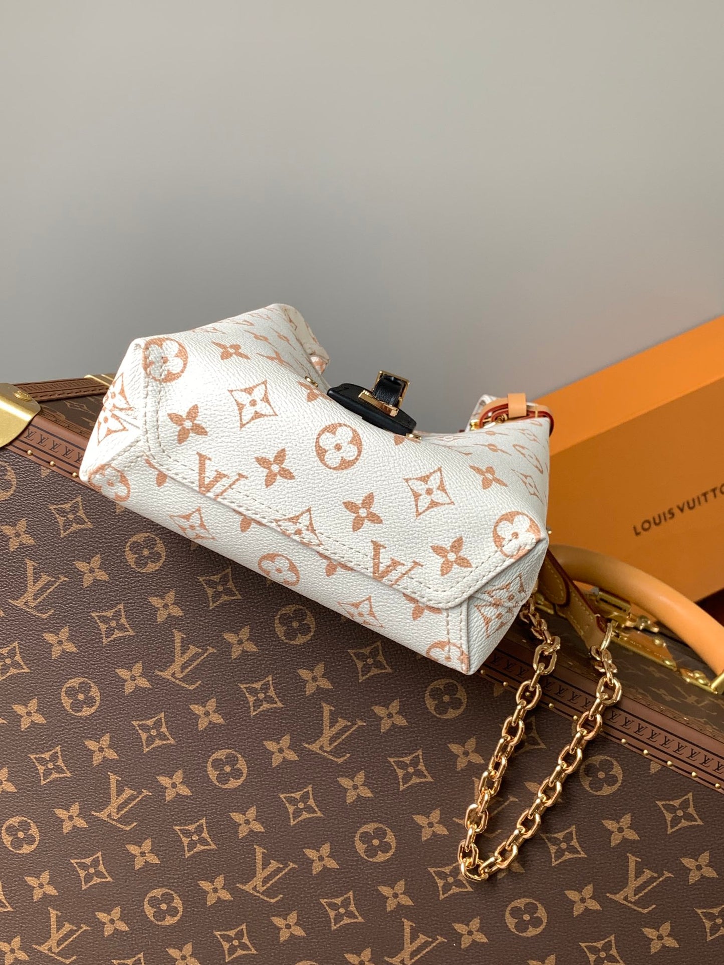 Louis Vuitton Handbag