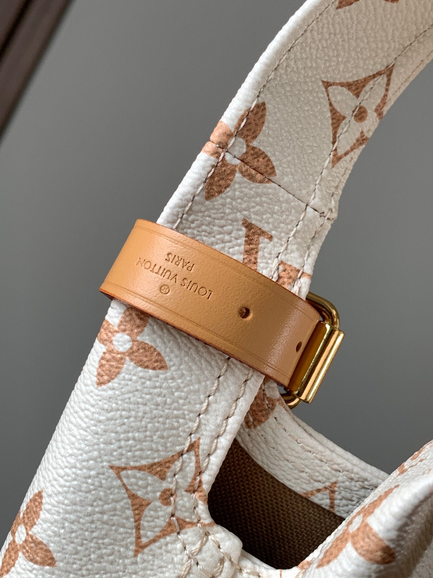 Louis Vuitton Handbag