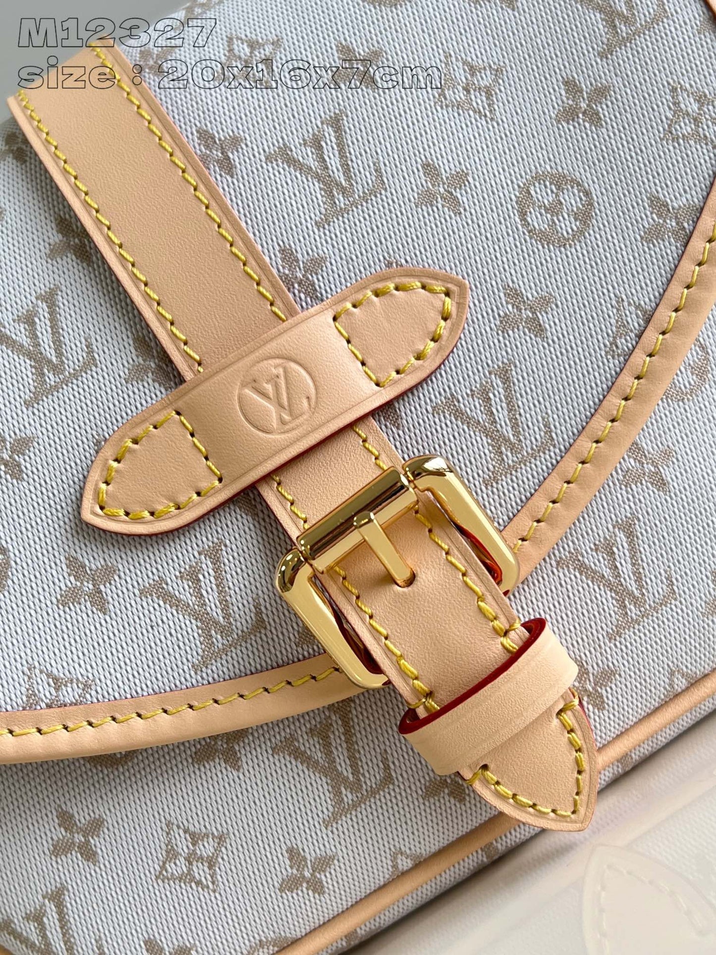 Louis Vuitton Handbag