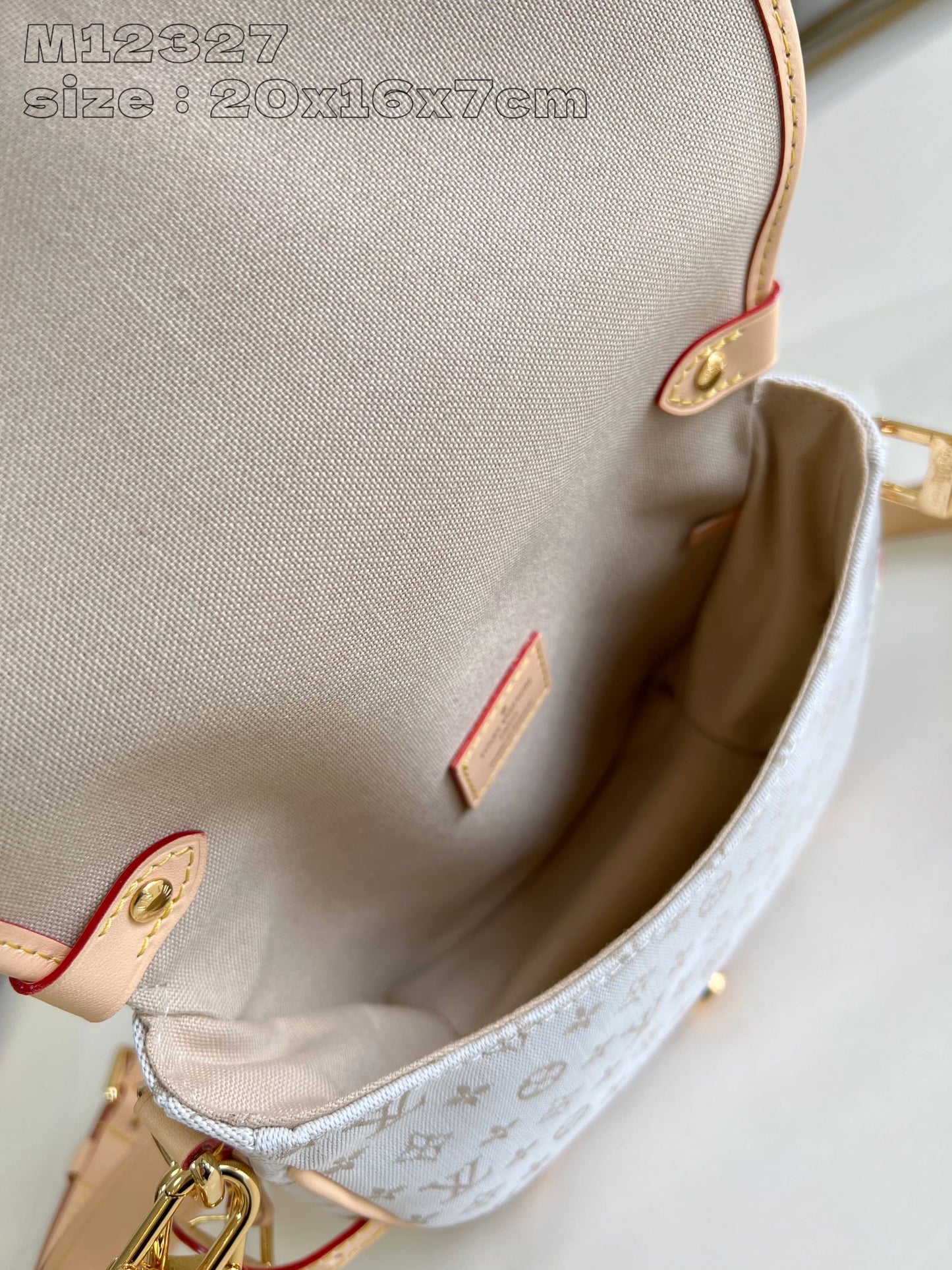 Louis Vuitton Handbag