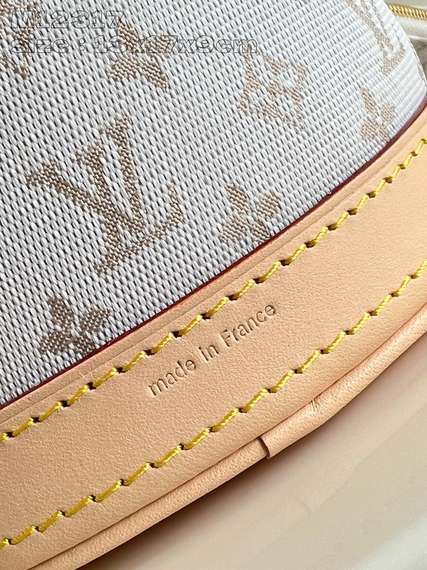 Louis Vuitton Handbag