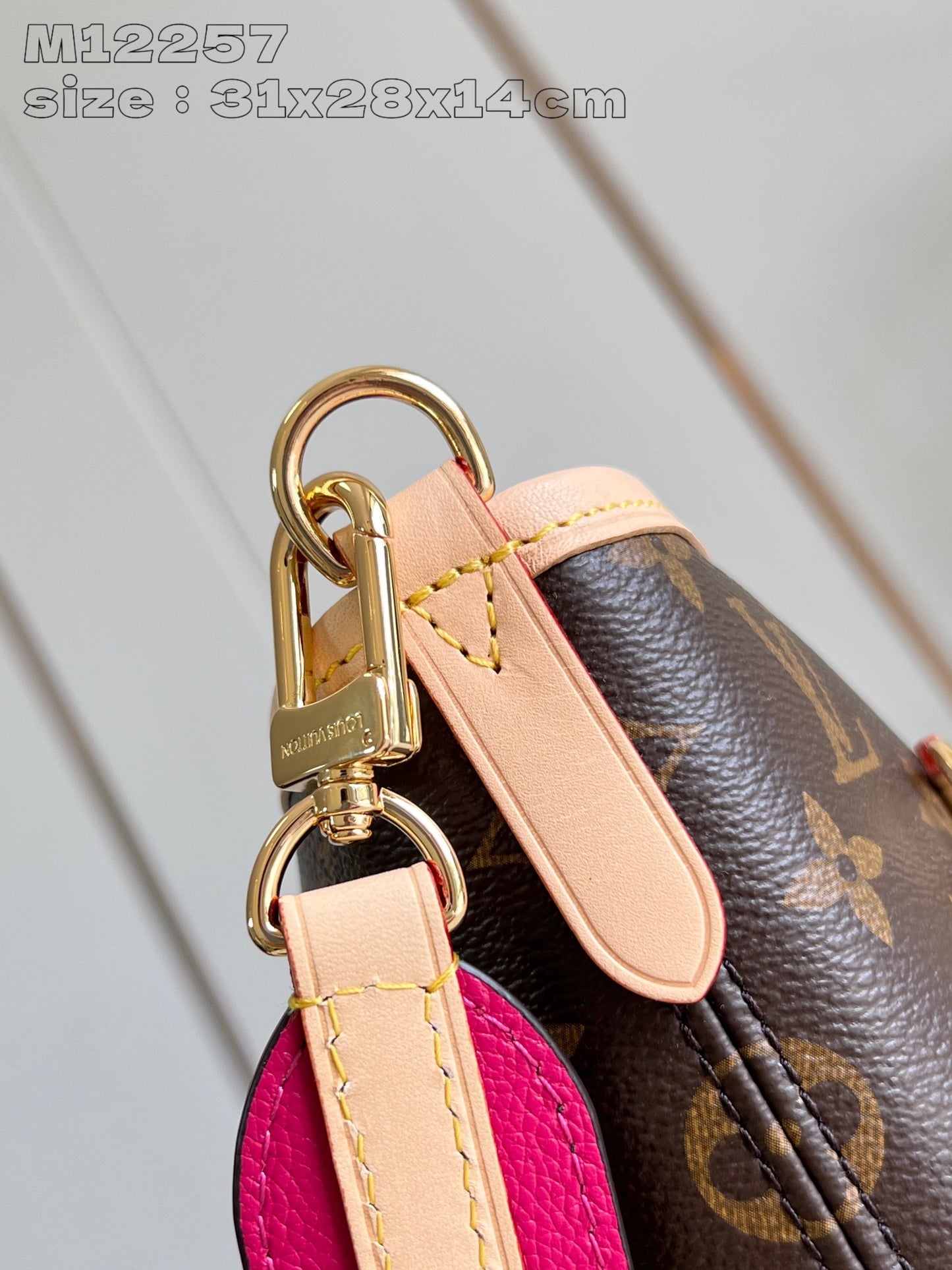 Louis Vuitton Handbag