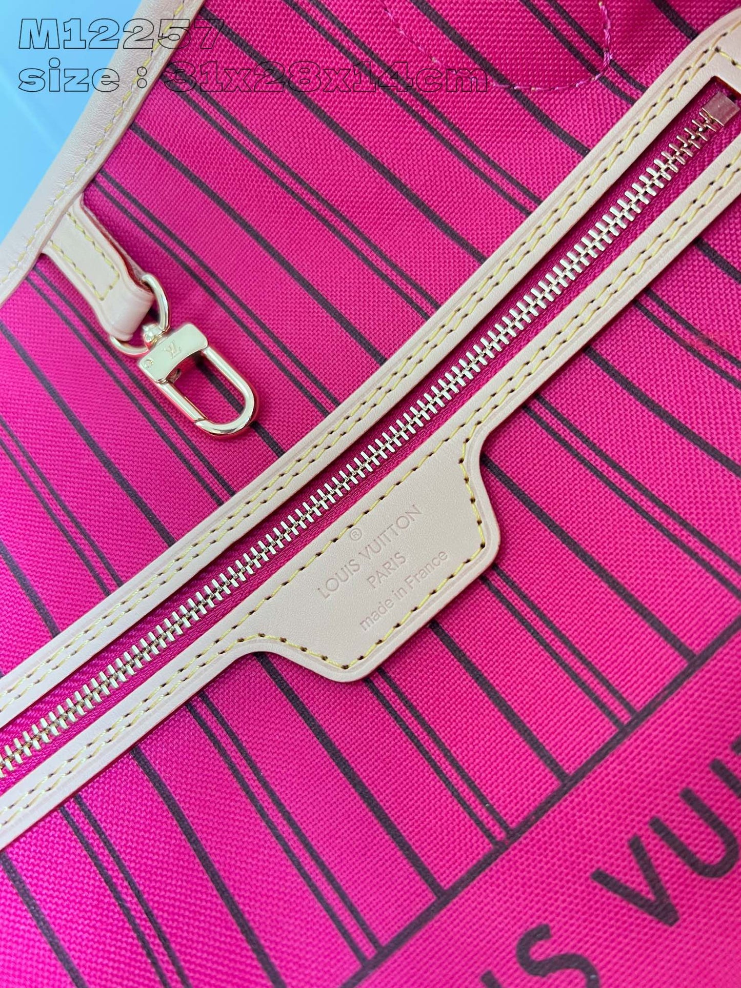 Louis Vuitton Handbag